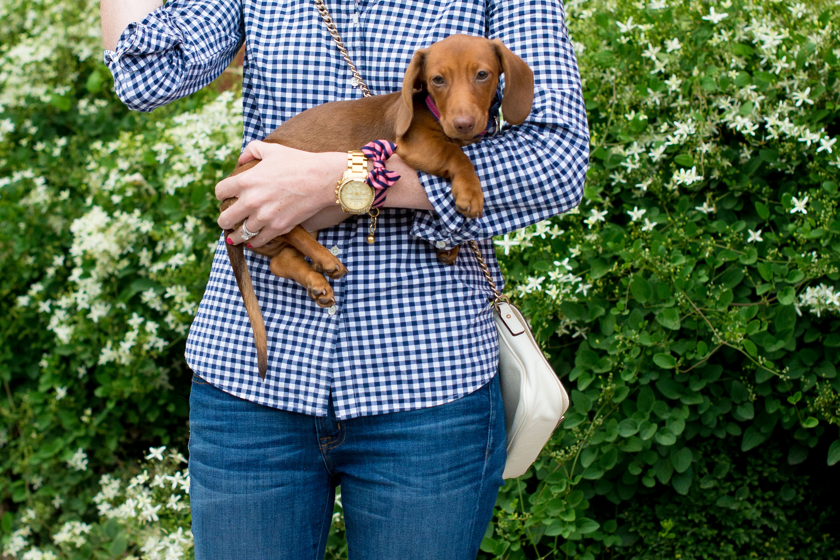 jcrew navy gingham shirt-13