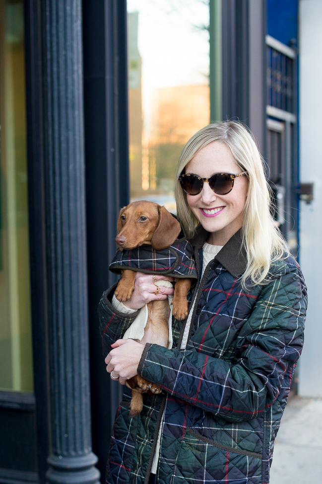 dachshund barbour jacket