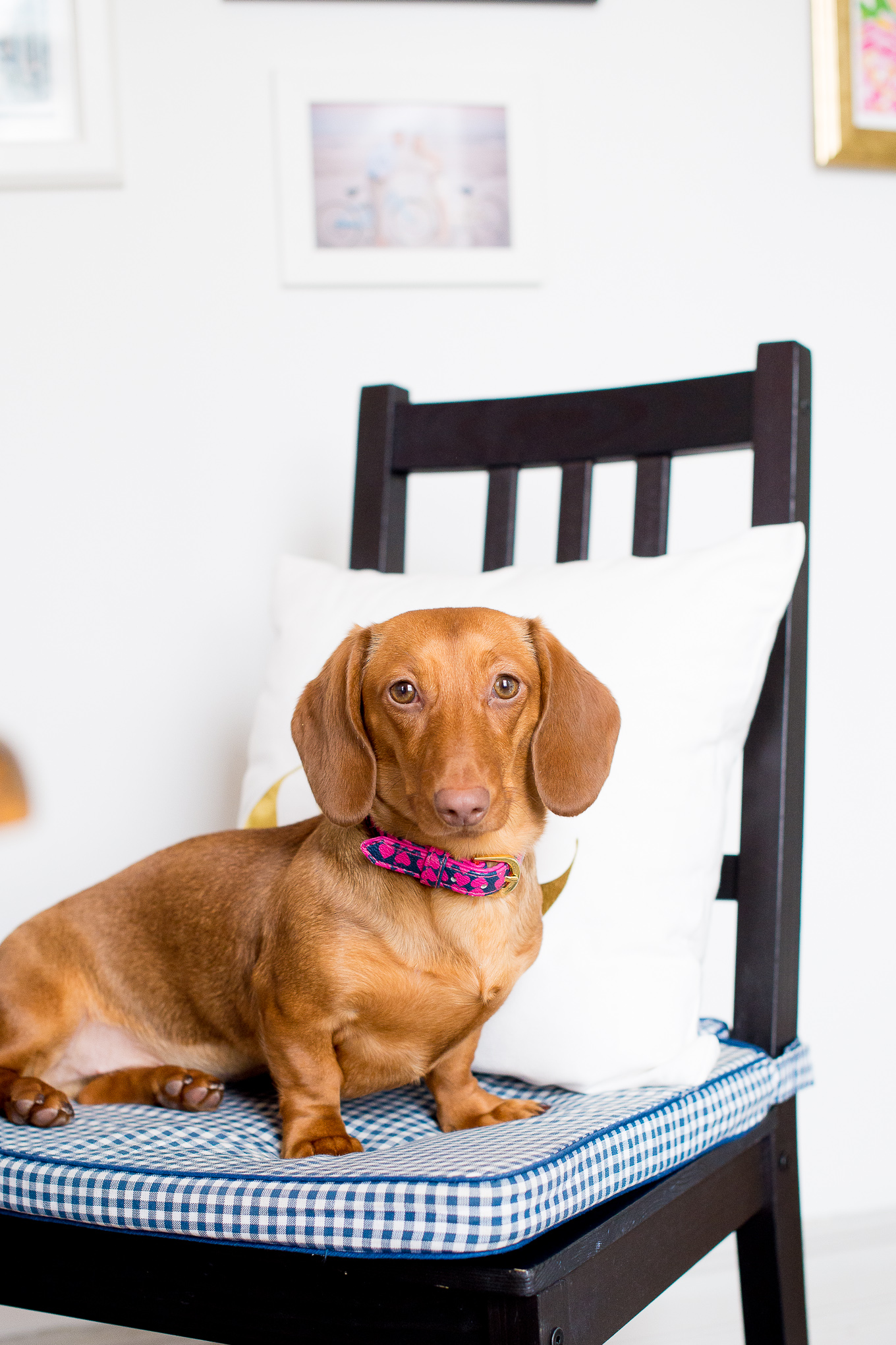 Preppy Home Office-49