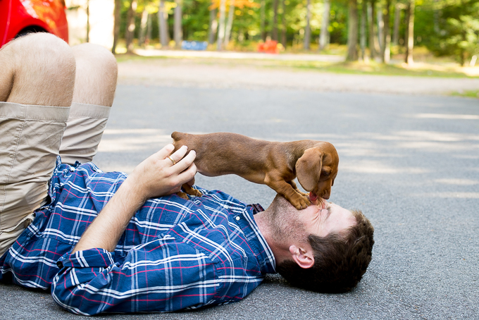 Crate Train Dachshund-11