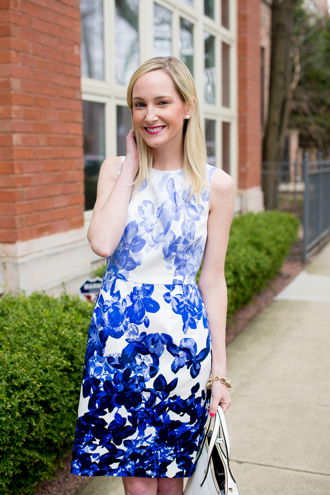 Dress barn 2024 royal blue dress