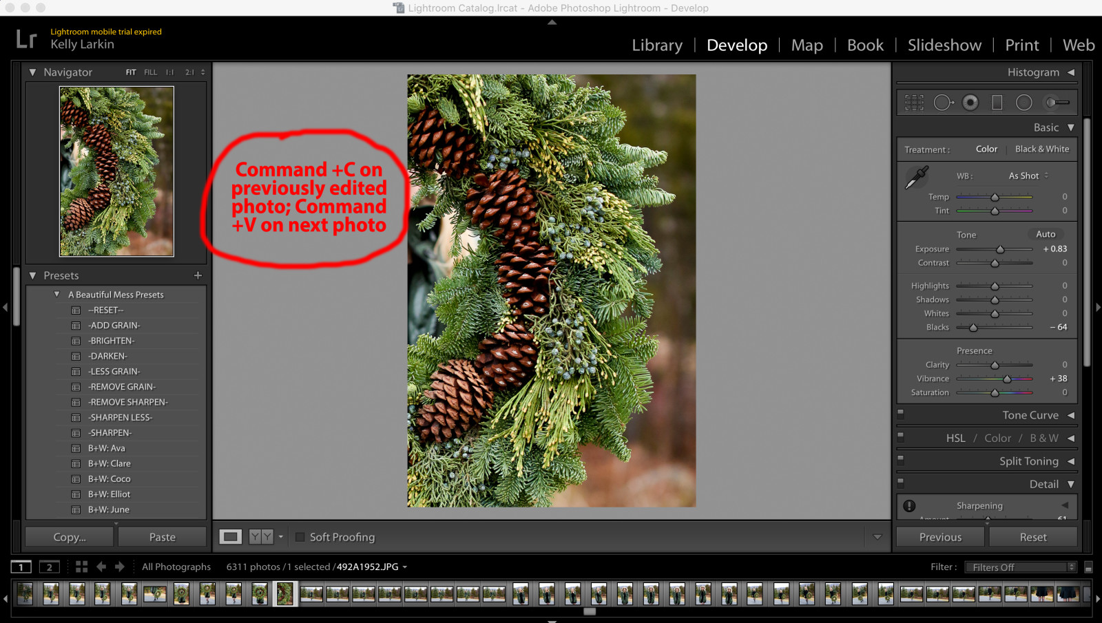 How I Edit Photos in Lightroom