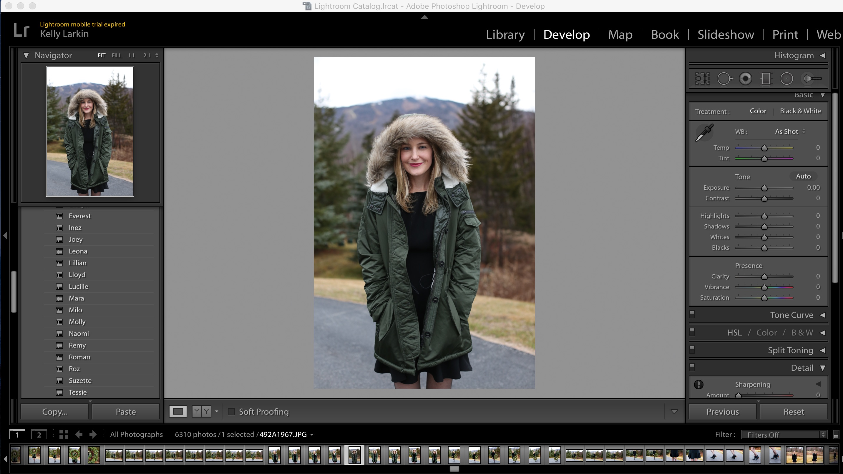 lightroom online editing