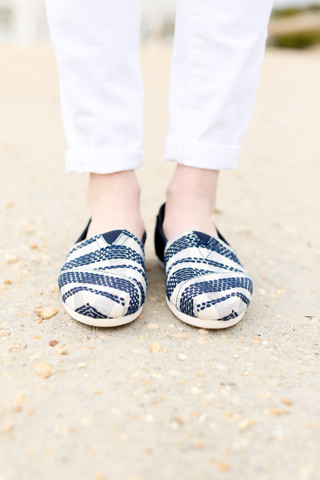toms navy canvas women's classics
