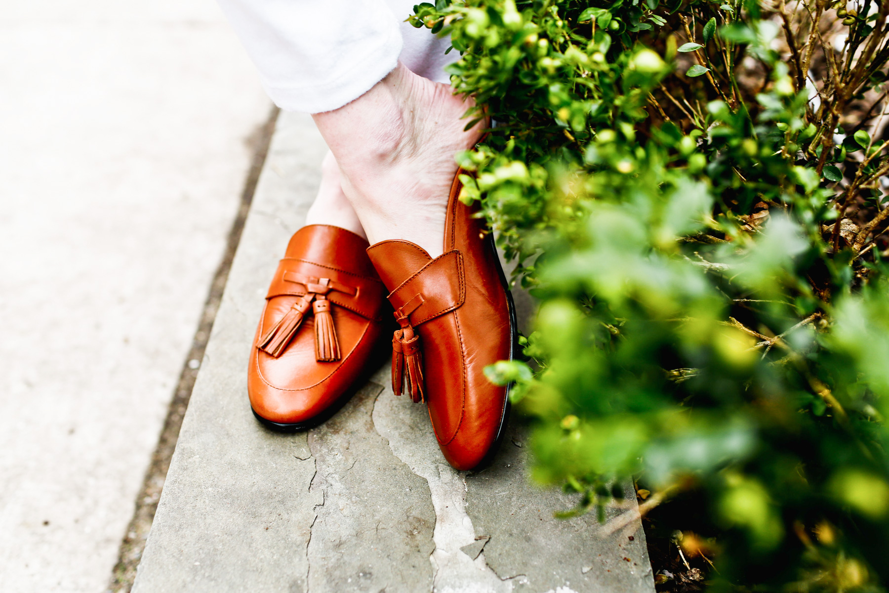 Sam Edelman Loafers 