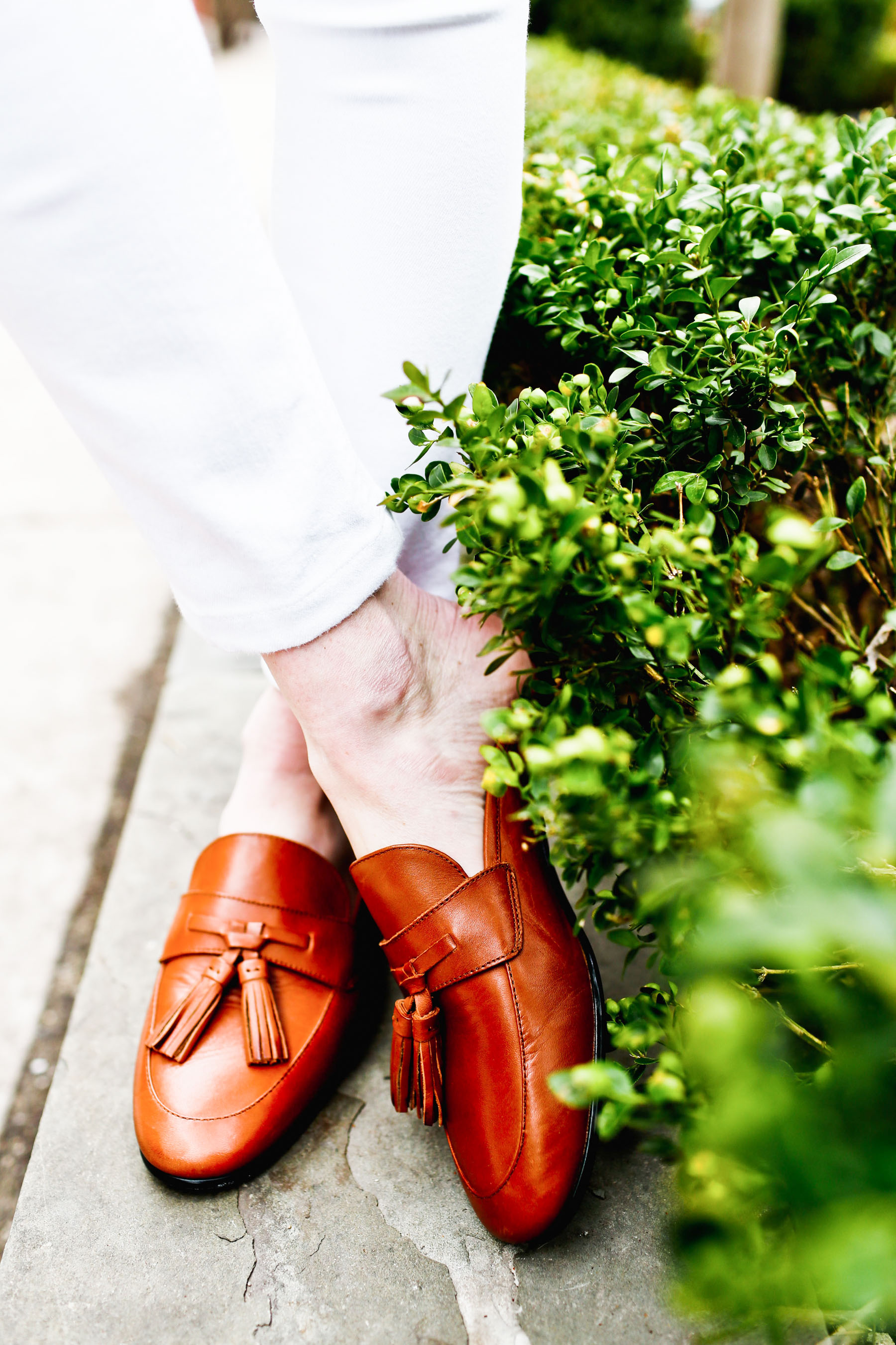 Sam Edelman Loafers 