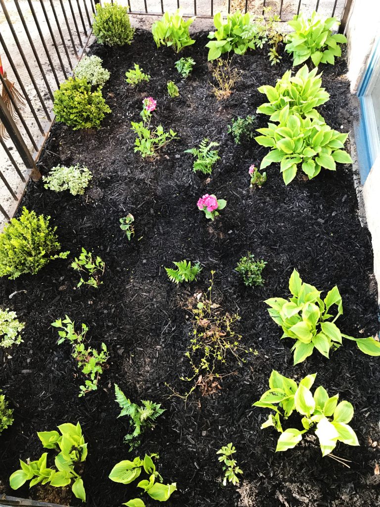 Life Lately, 4/29 by Kelly Larkin Kelly in the City Blog