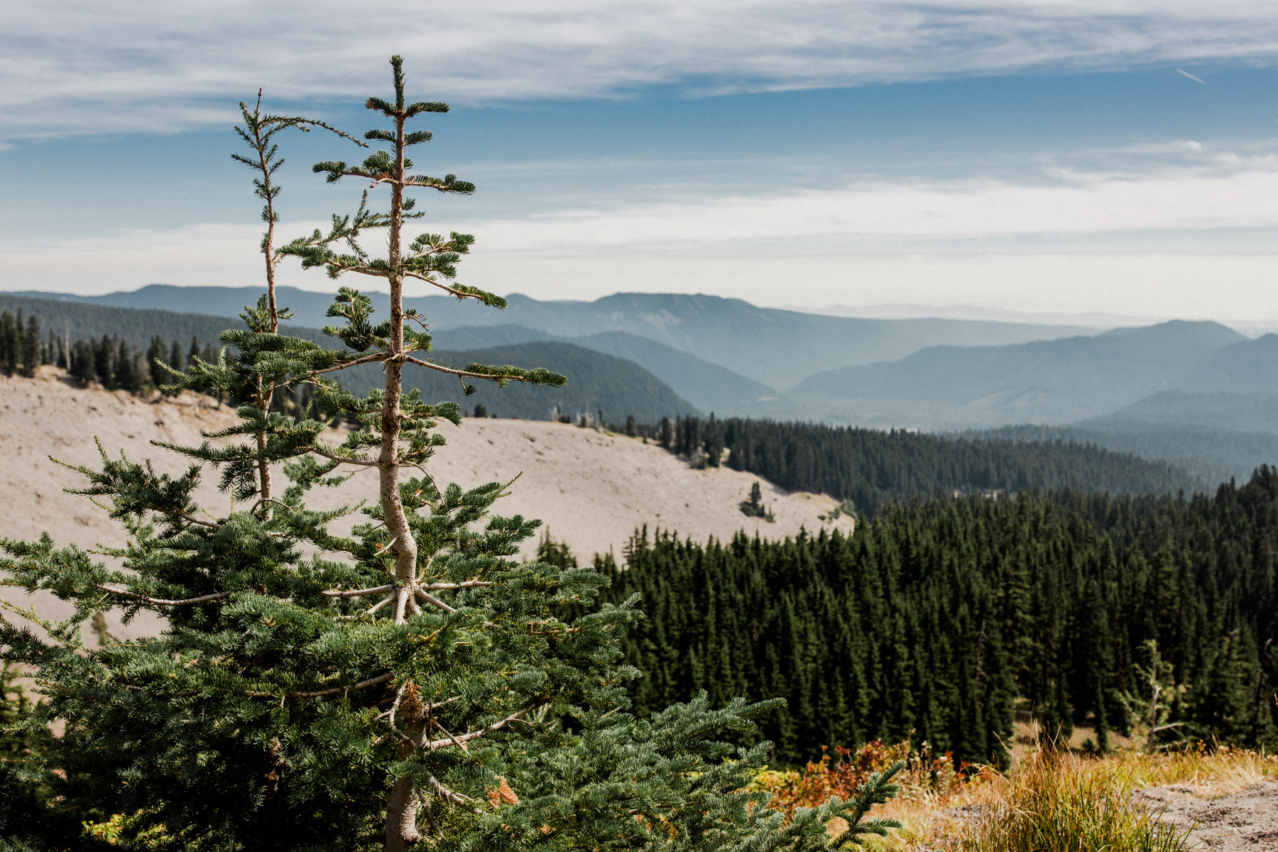 Mount Hood | Kelly in the City