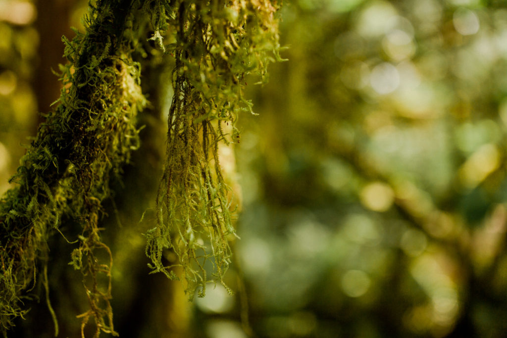 Mount Hood, Oregon - Trip Photos 