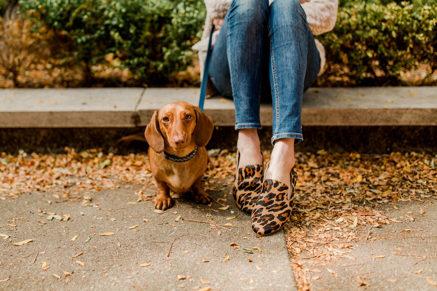 halogen sylvia loafer