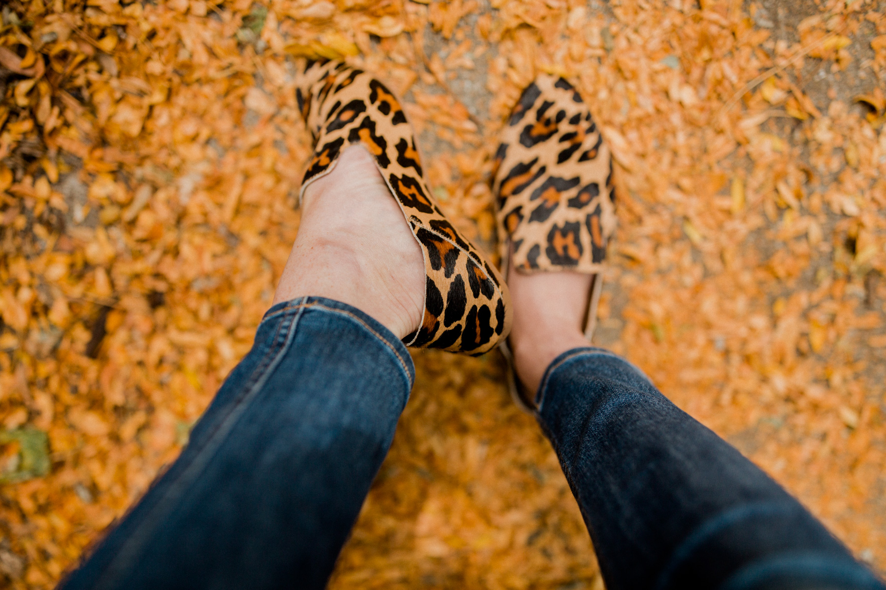 leopard footwear for the fall