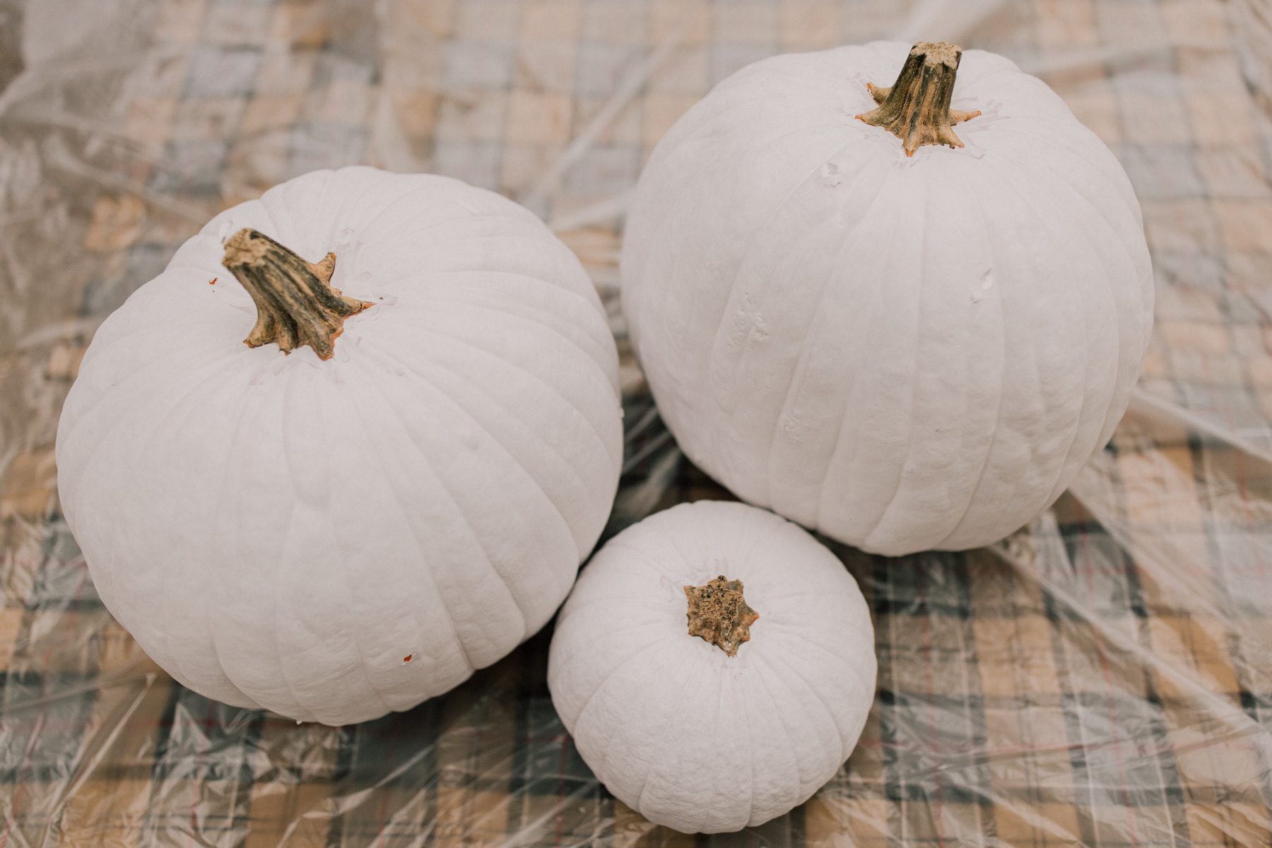 DIY Gingham Pumpkins Tutorial = Step One