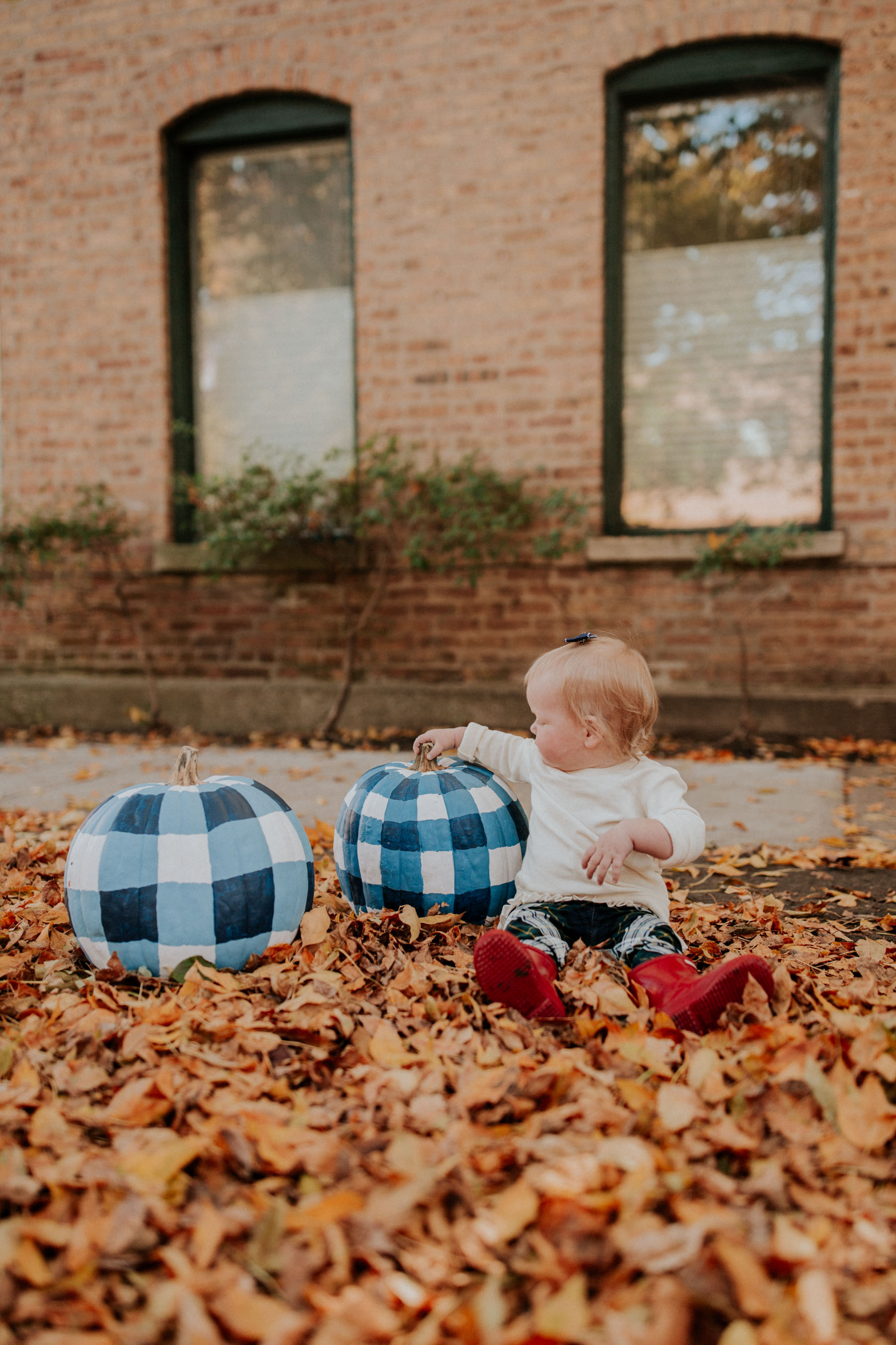 Emma and Gingham Pumpkins 