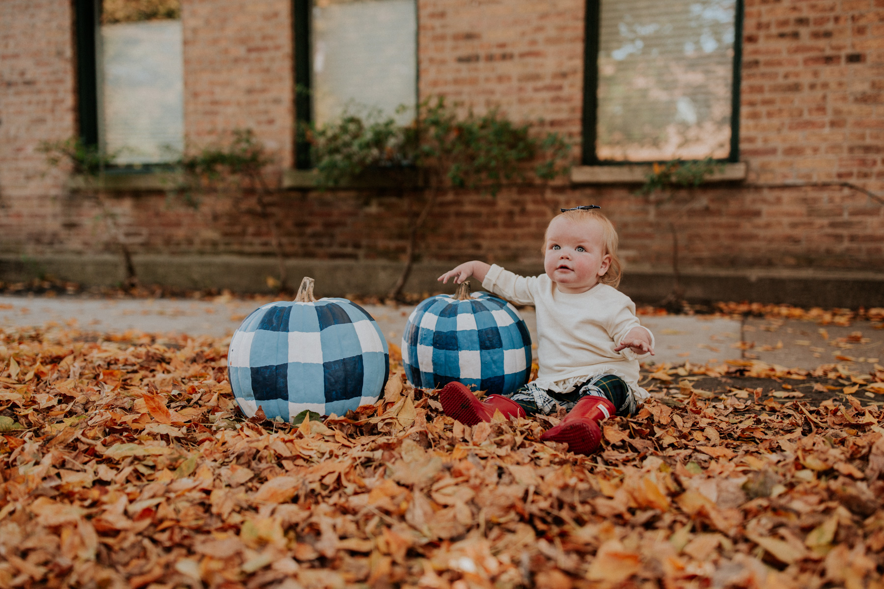 Kelly in the City and Gingham Pumpkins 