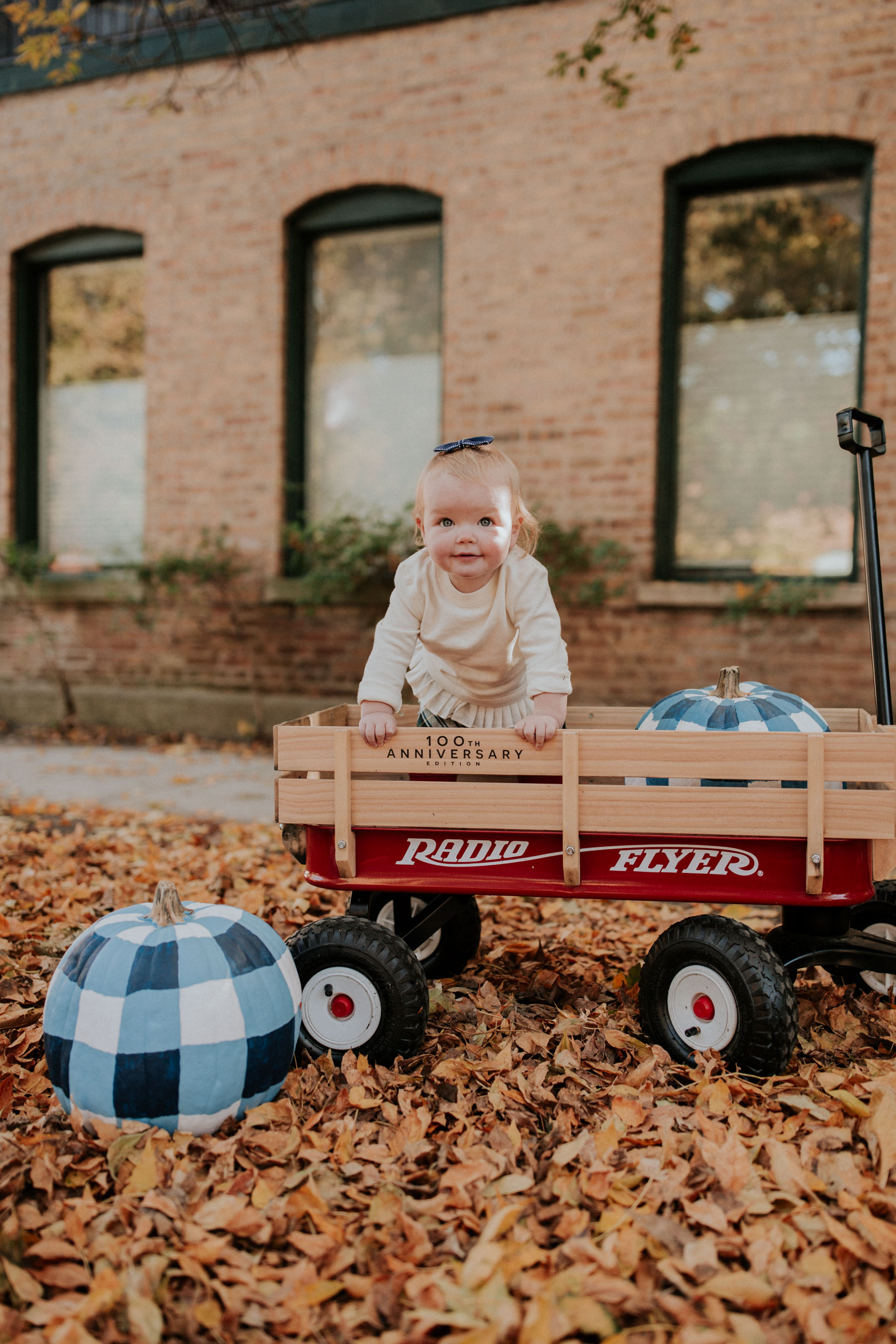 gingham pumpkins 