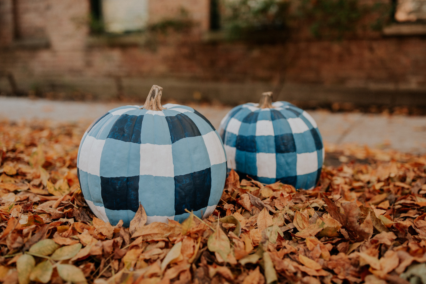 Gingham Pumpkins 