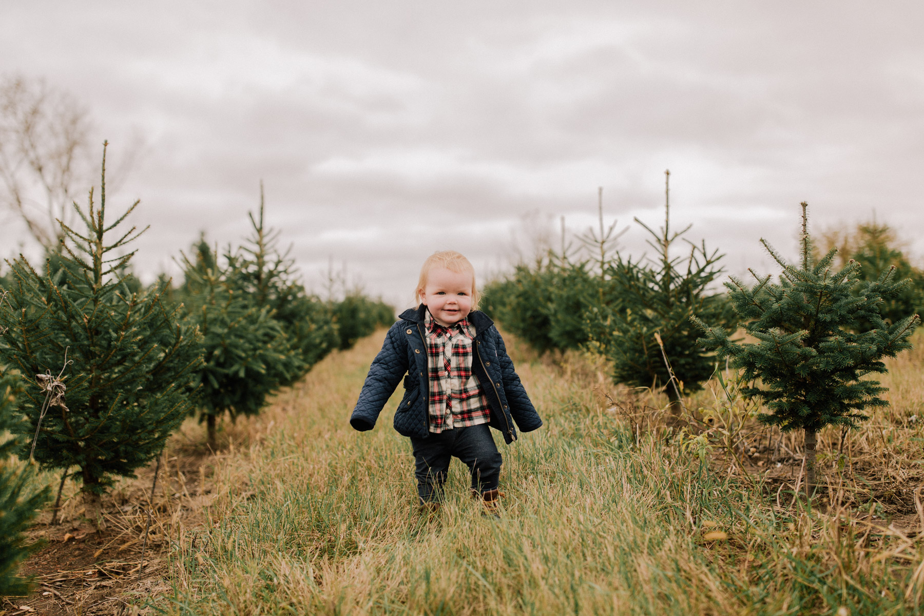 A Visit to the Christmas Tree Farm