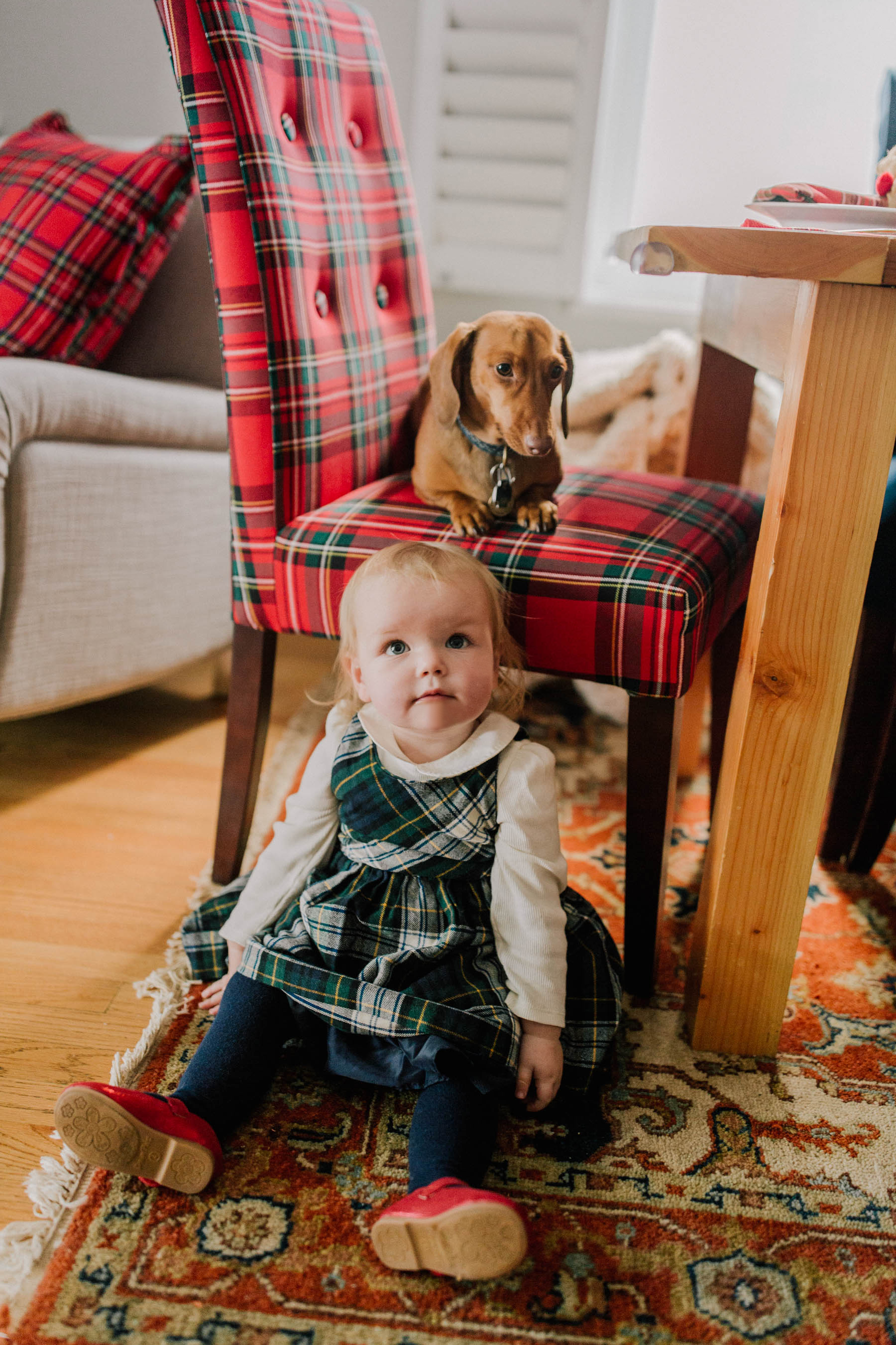 Pier one plaid discount chair