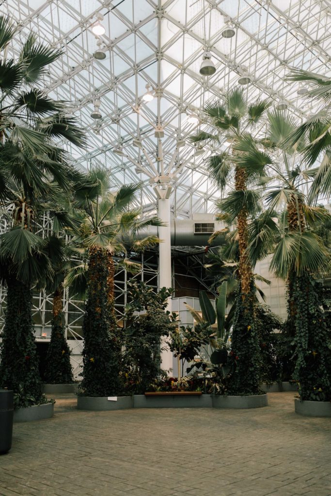 find-more-kid-friendly-indoor-activities-this-chicago-winter