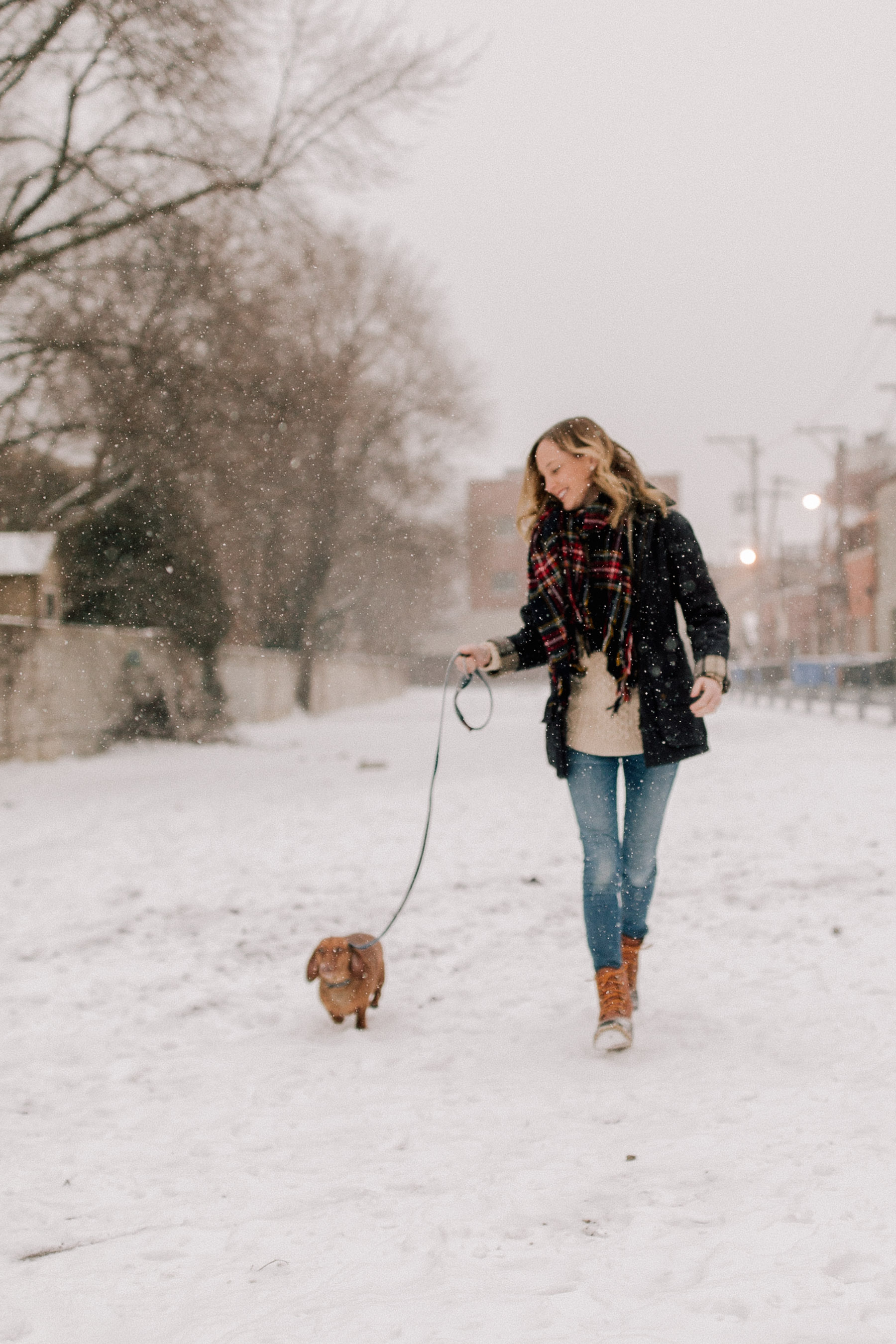 barbour dog walking coat