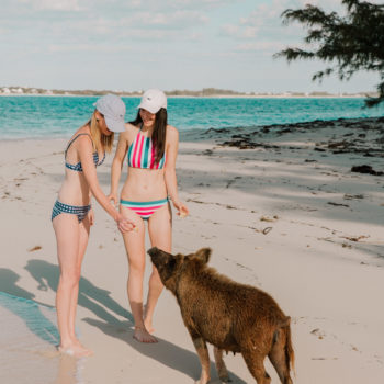 Swimming with Pigs in the Bahamas