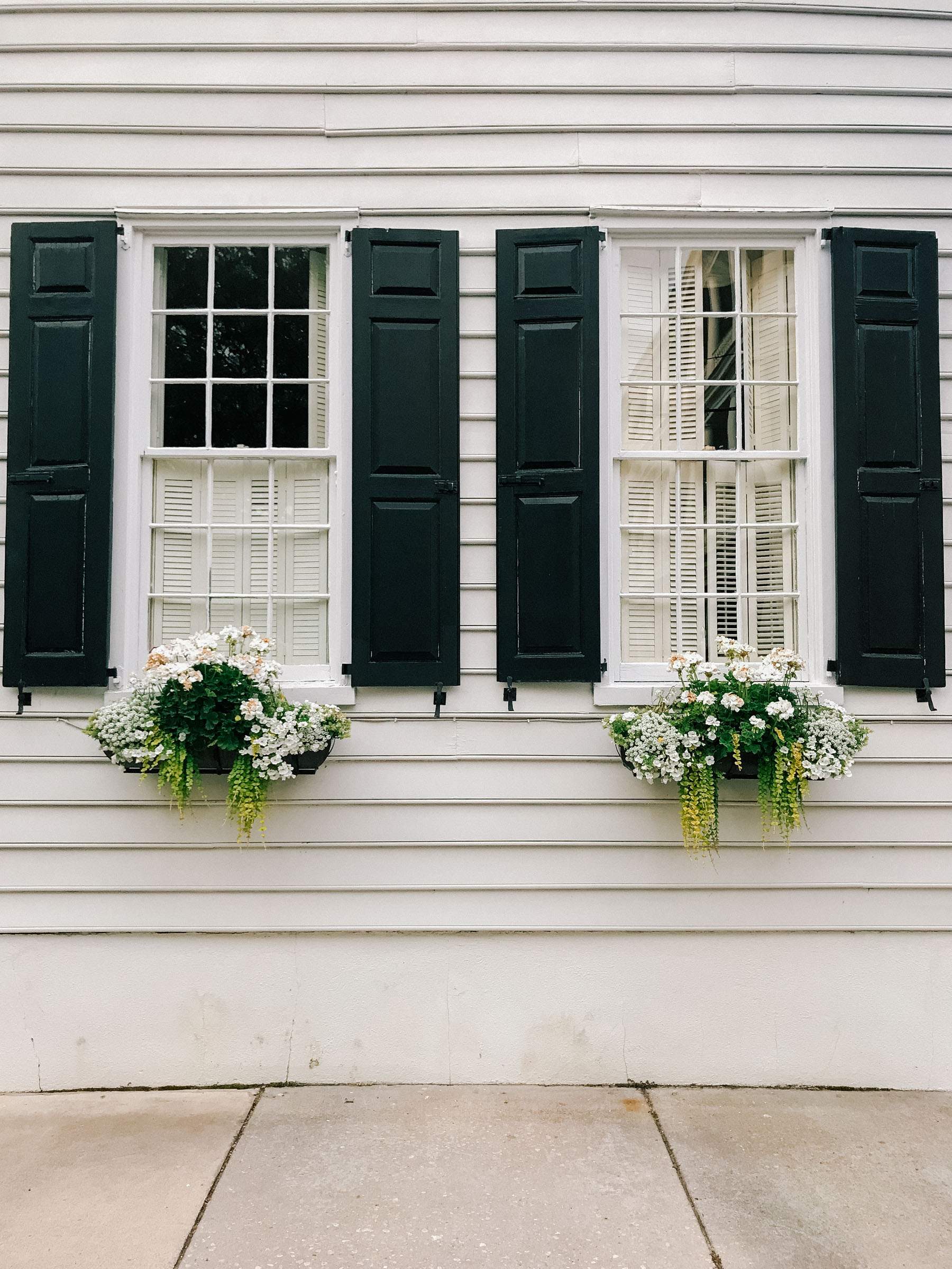 An Evening Stroll in Charleston