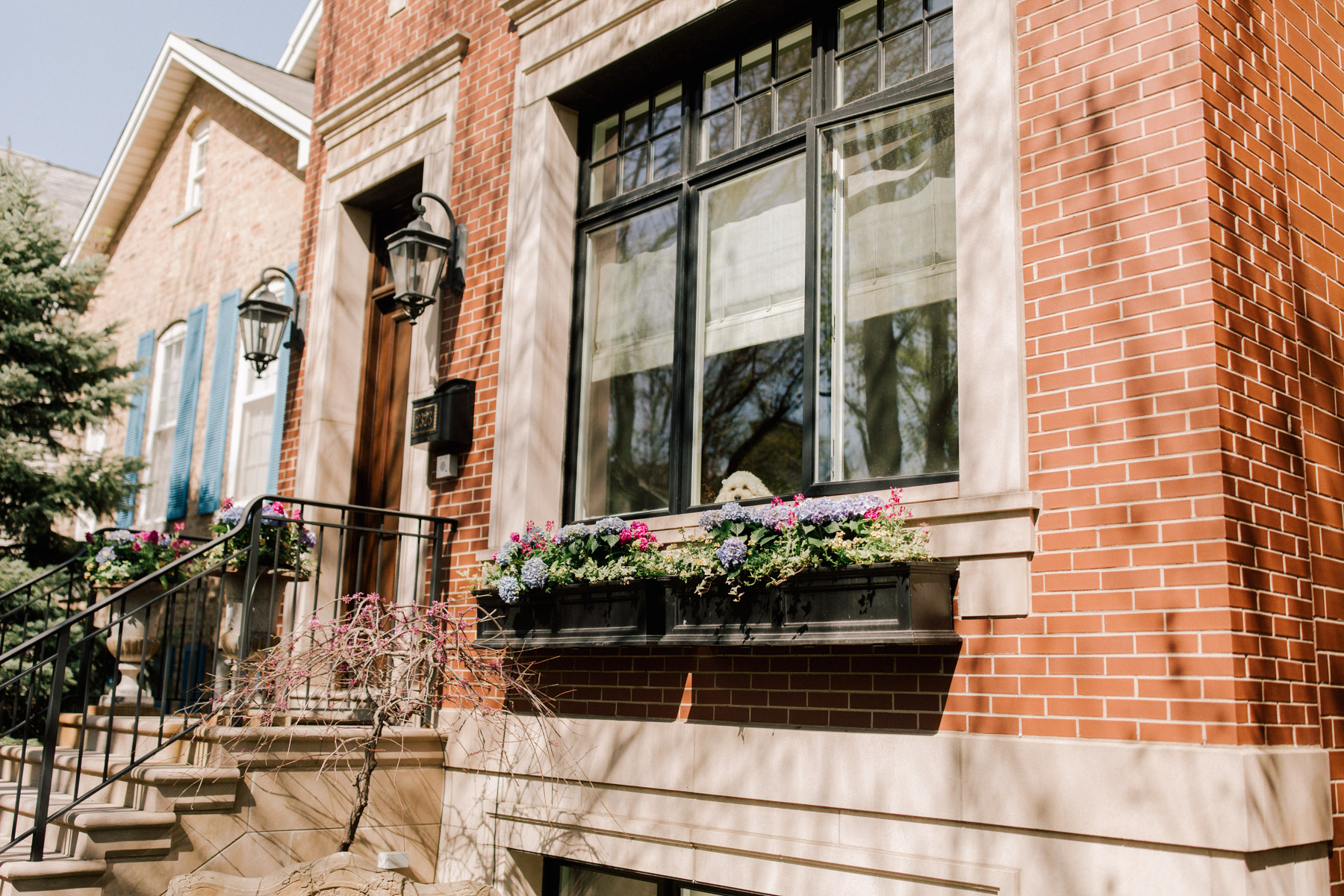 Chicago Window Floral Ideas