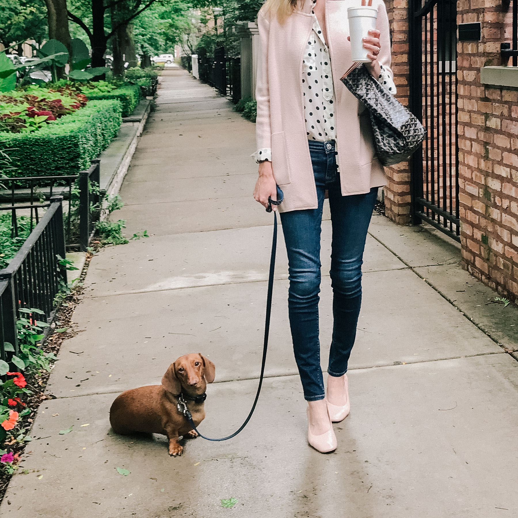 J.Crew Sweater Blazer/ Everlane Day Heel / Goyard Bag / Old Polka Dot Top 