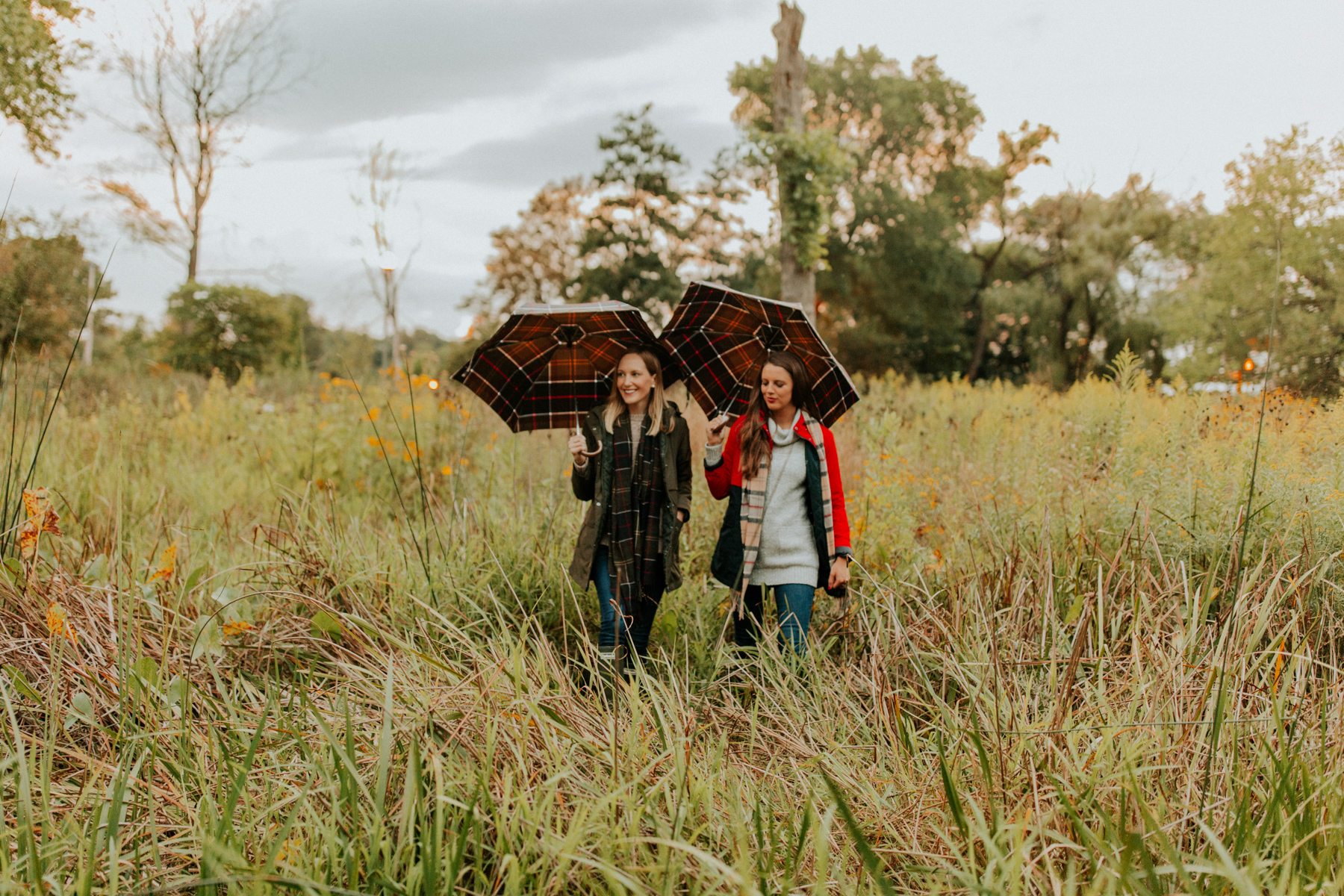 Telescoping Tartan Umbrella BARBOUR