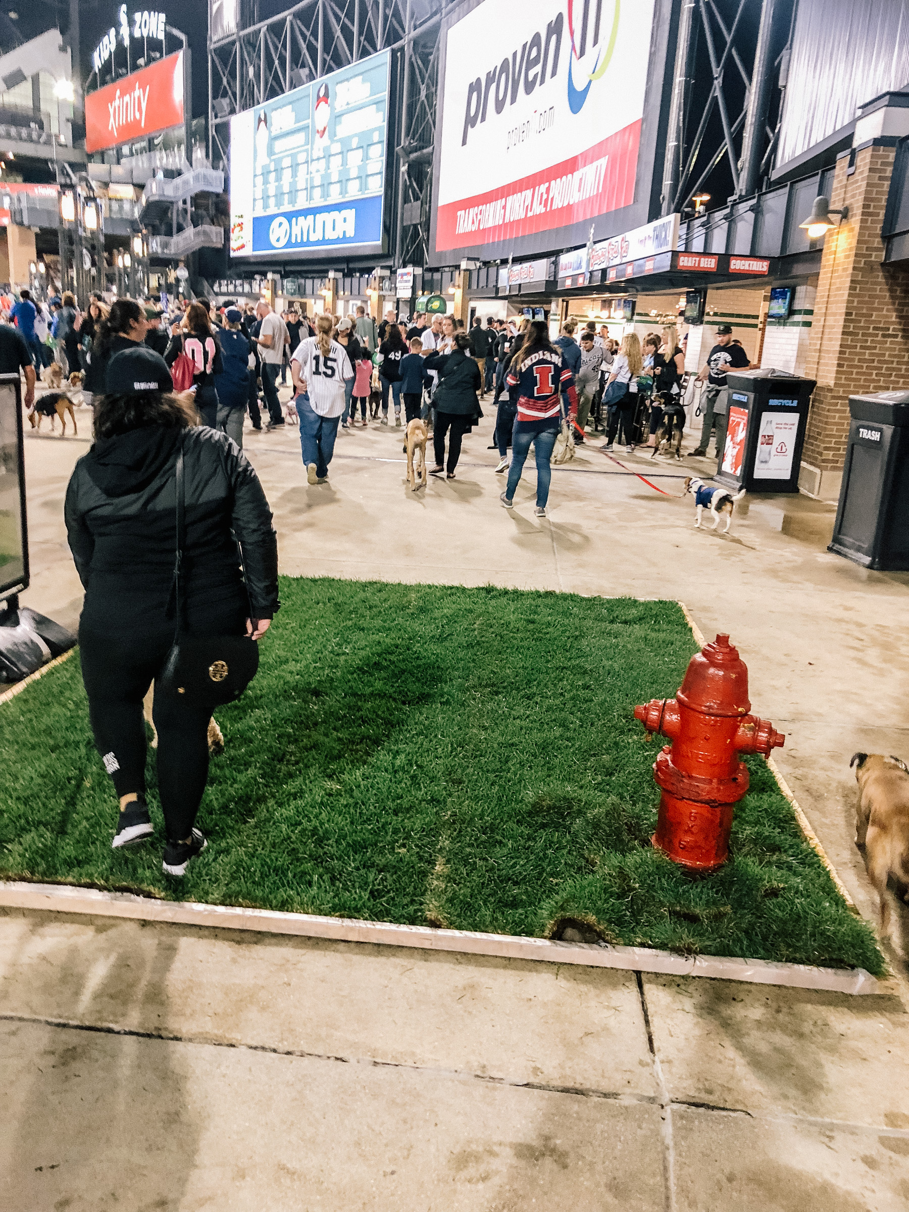 Dog Day with the Sox | Kelly in the City