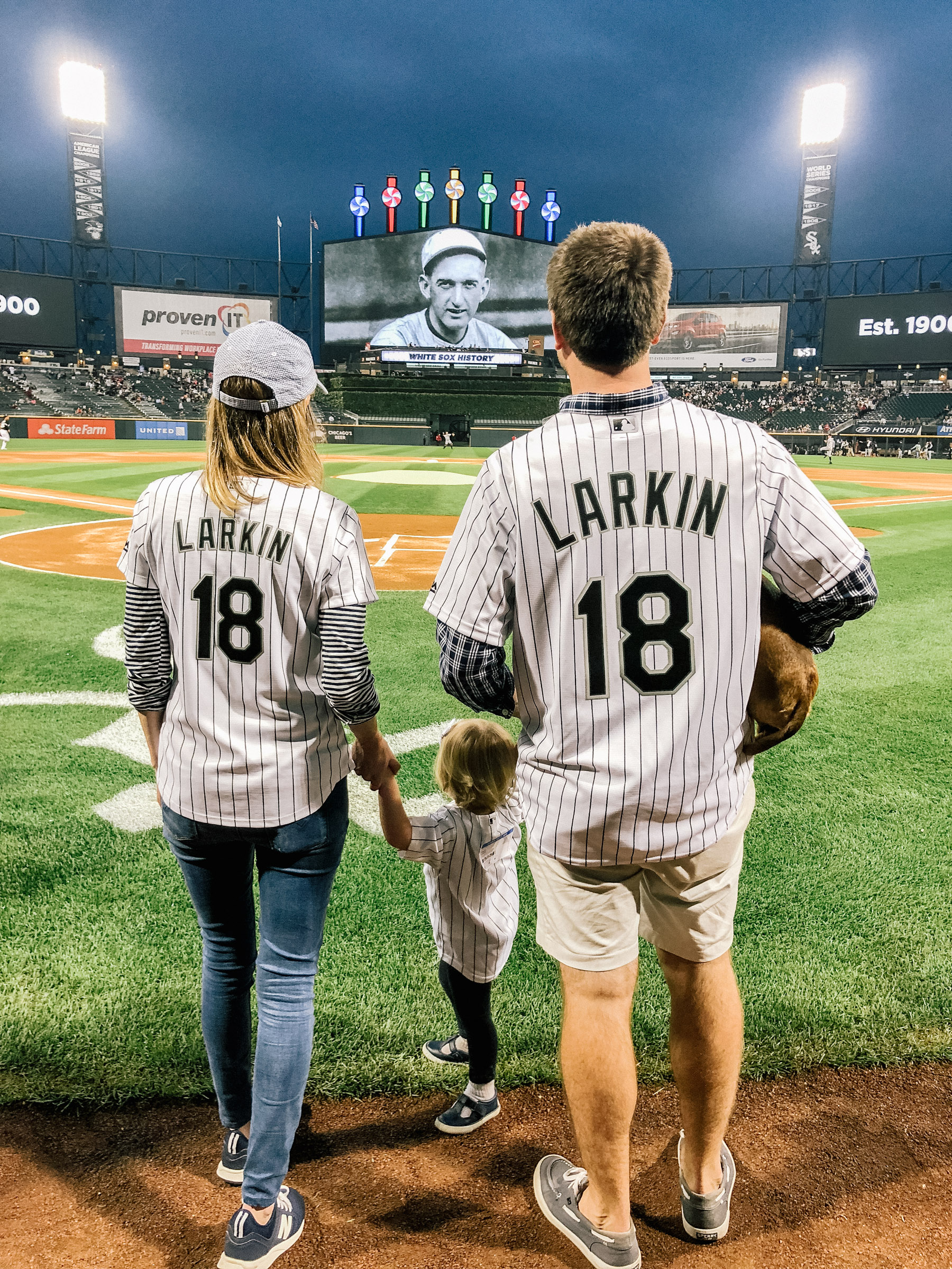 Aaron Judge's Tiny Dachshund Puppy Steals the Show at Yankee Stadium -  Parade Pets