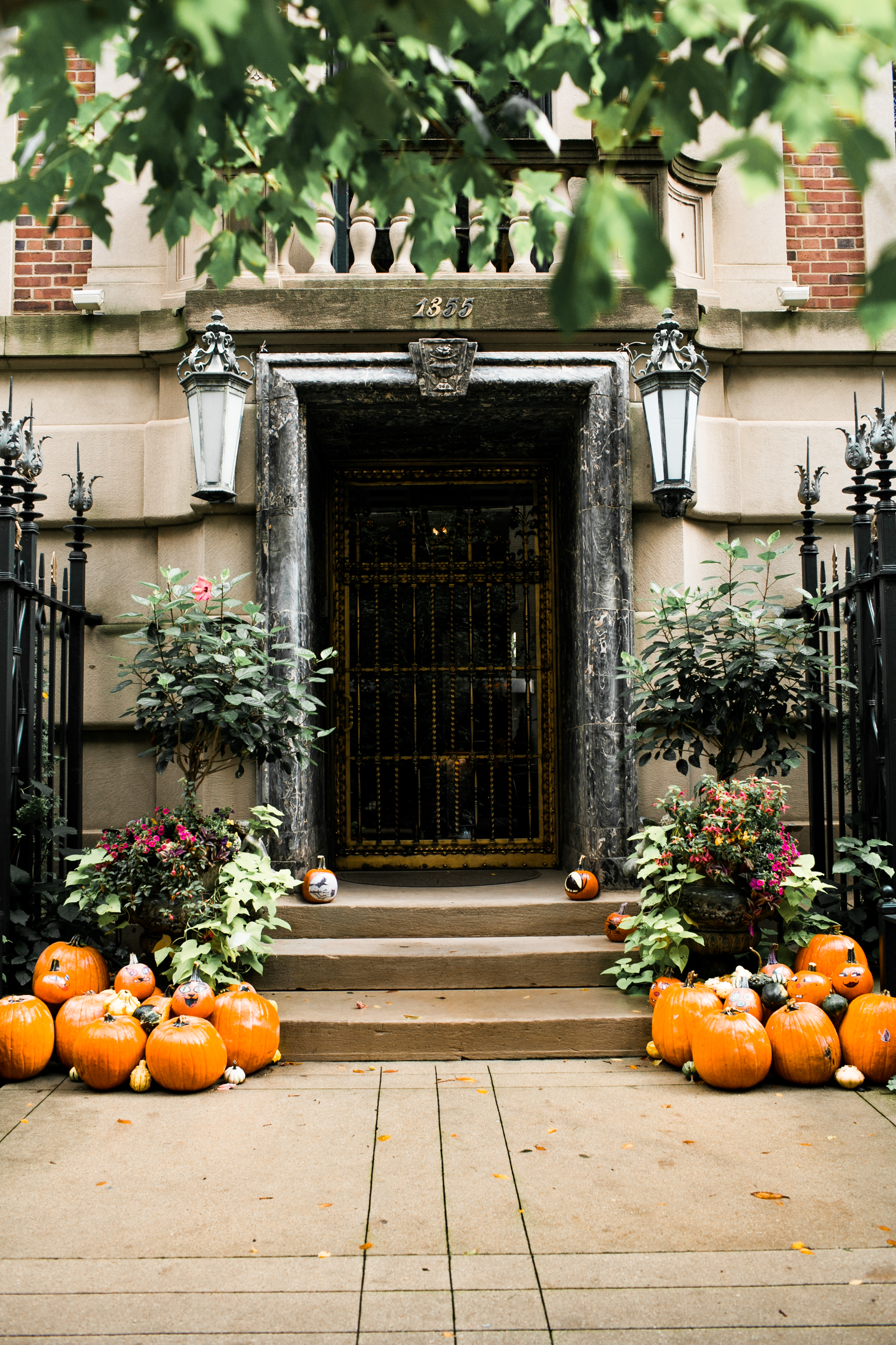 A bundle of pumpkins.