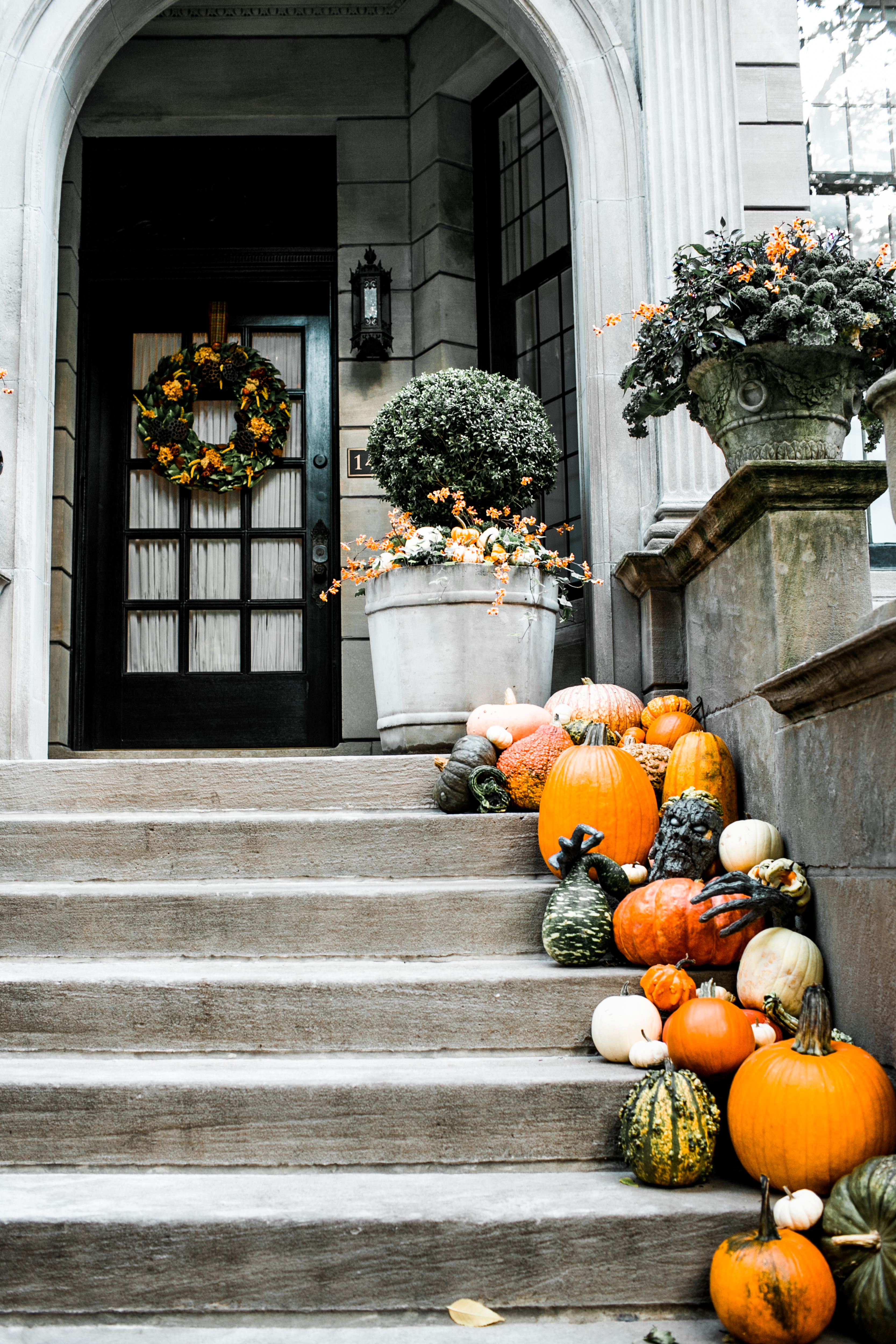 A personal favorite with an array of pumpkins all shapes and sizes.