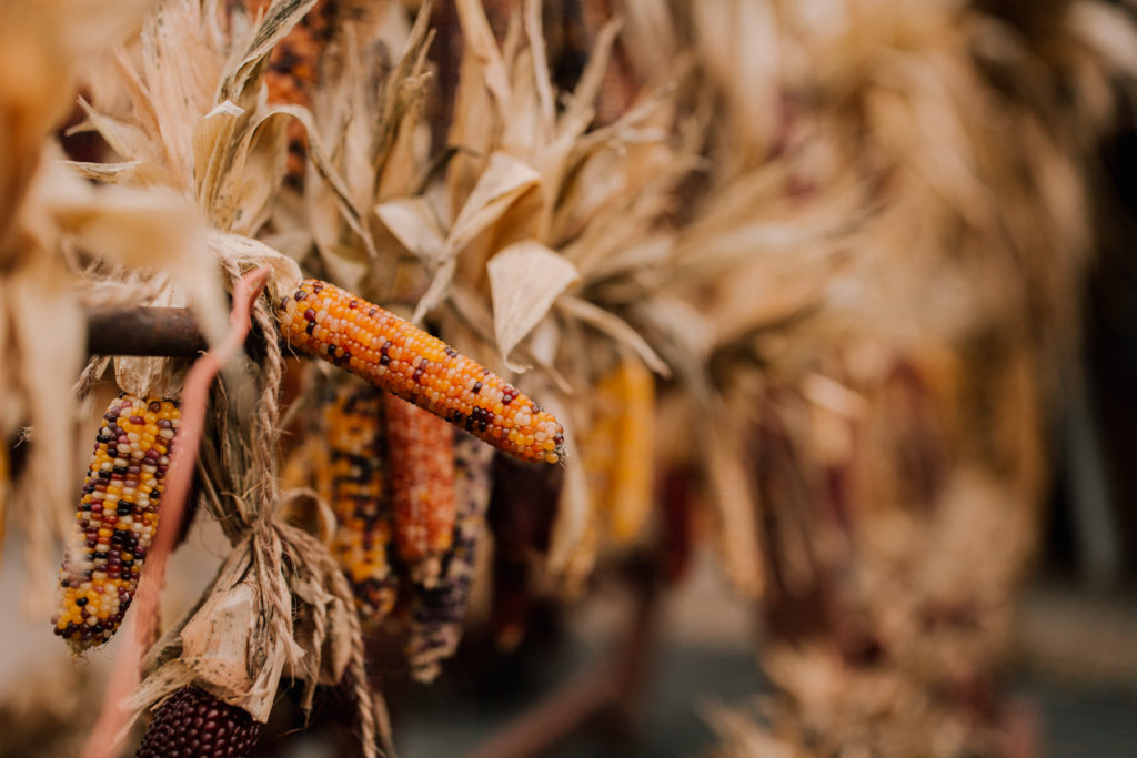 Pumpkin Picking Road Trip Didier Farms in Lincolnshire Kelly in the