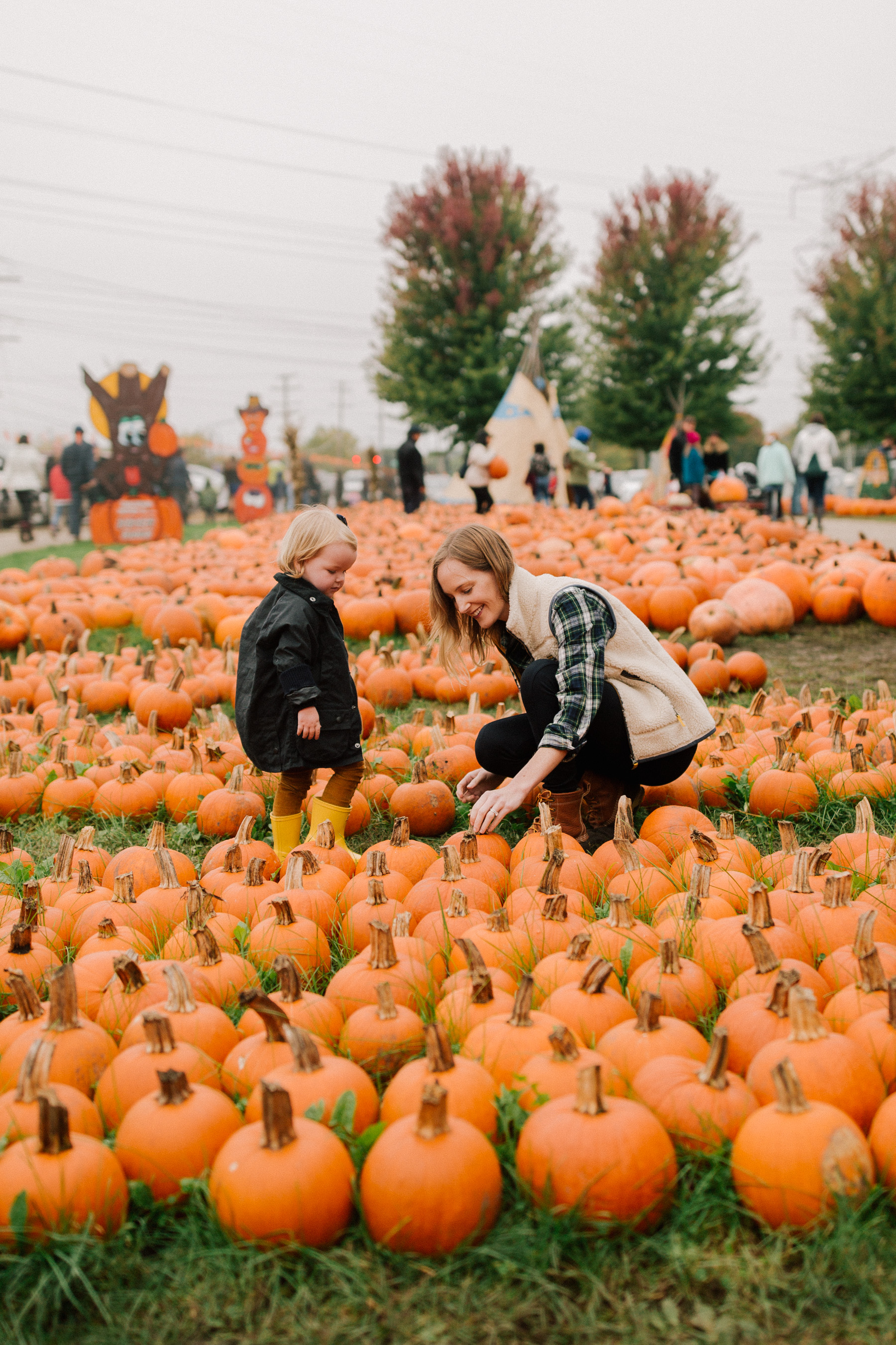 Pumpkin Picking Road Trip - Didier Farms in Lincolnshire |  Kelly in the City 