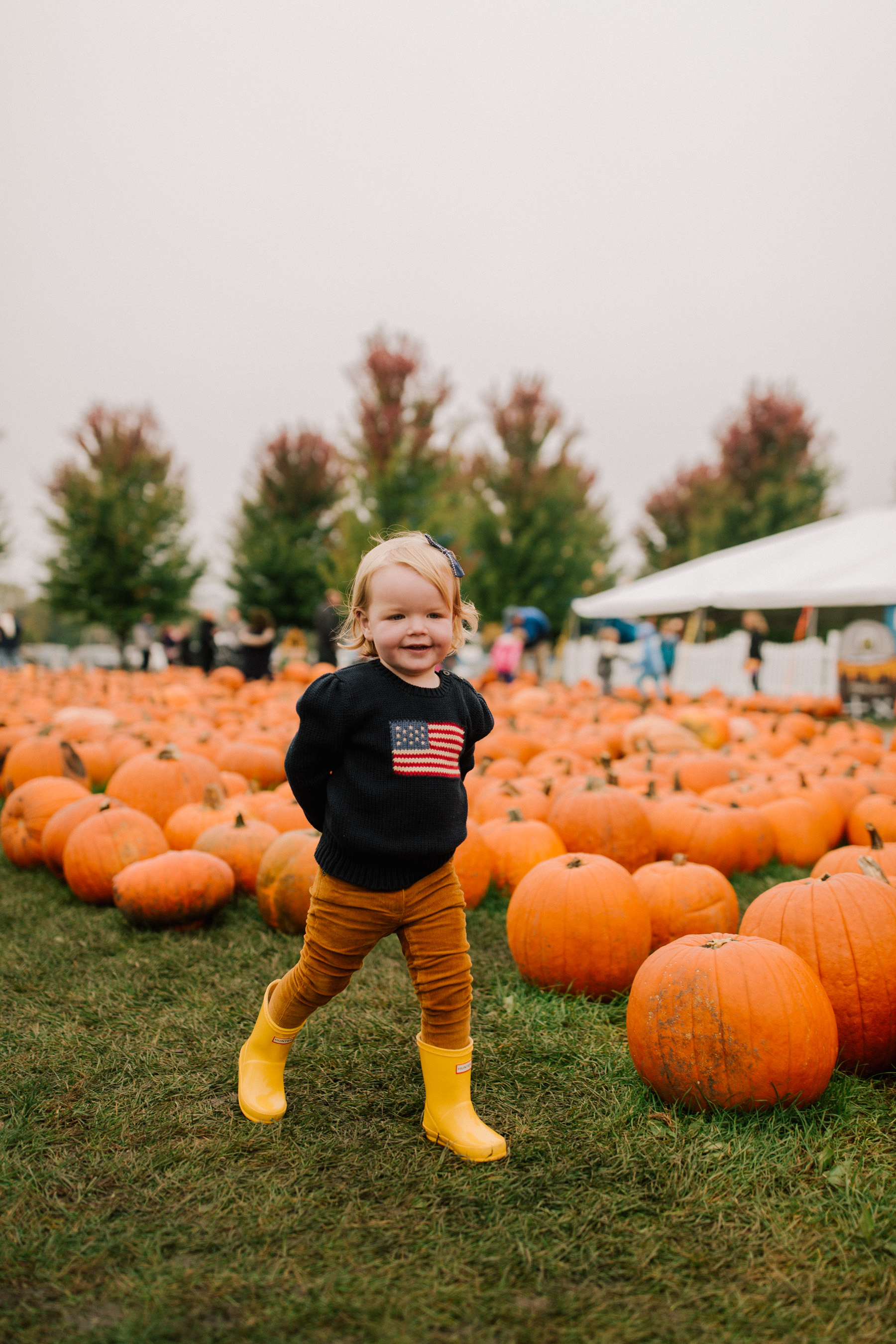 Pumpkin Picking Road Trip - Didier Farms in Lincolnshire |  Kelly in the City 