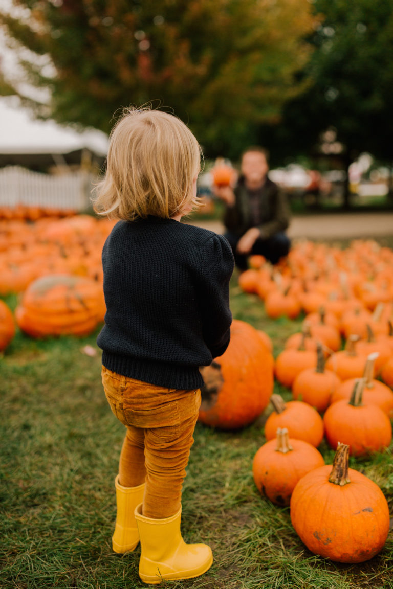 Pumpkin Picking Road Trip Didier Farms in Lincolnshire Kelly in the
