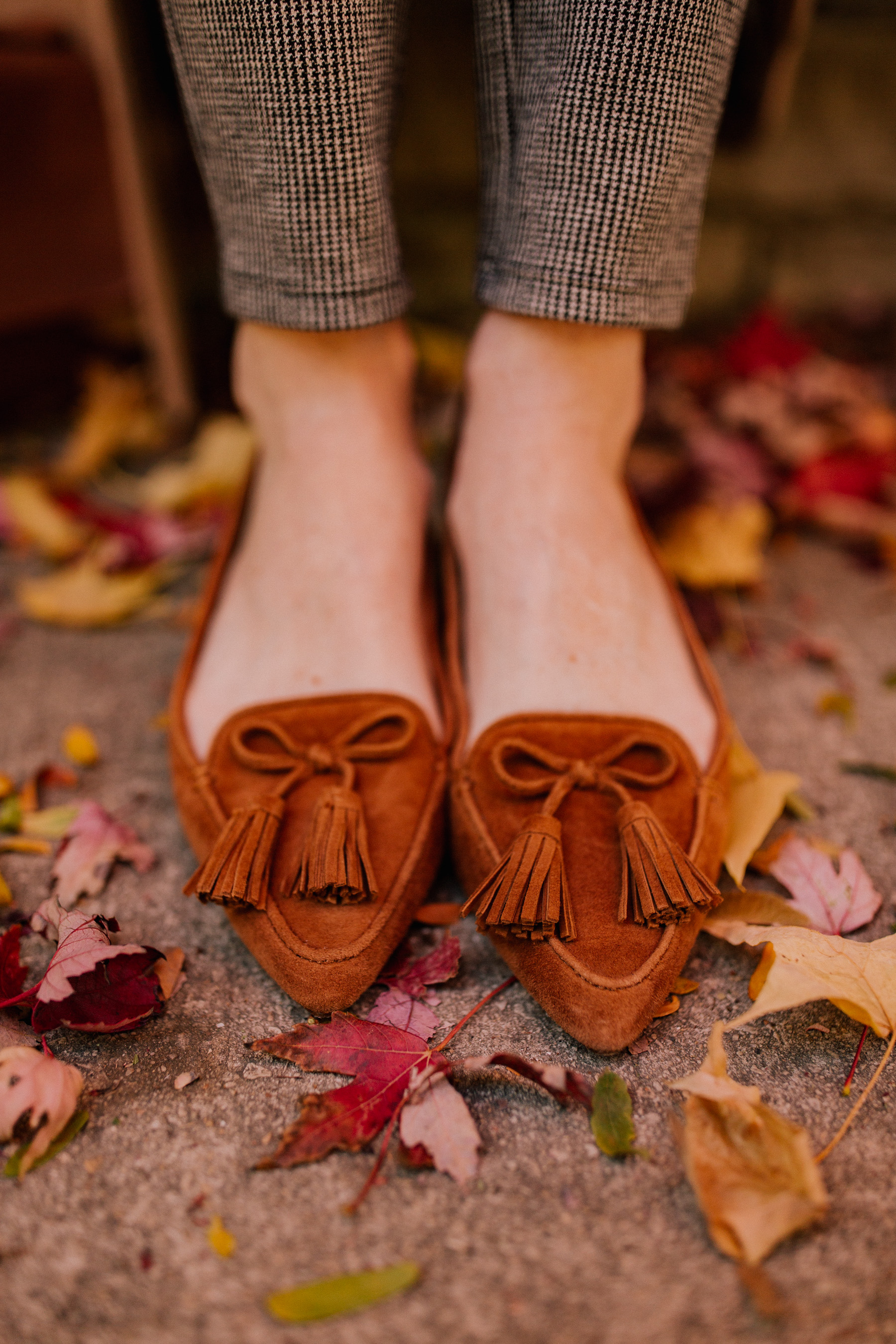 Tassel Flats 