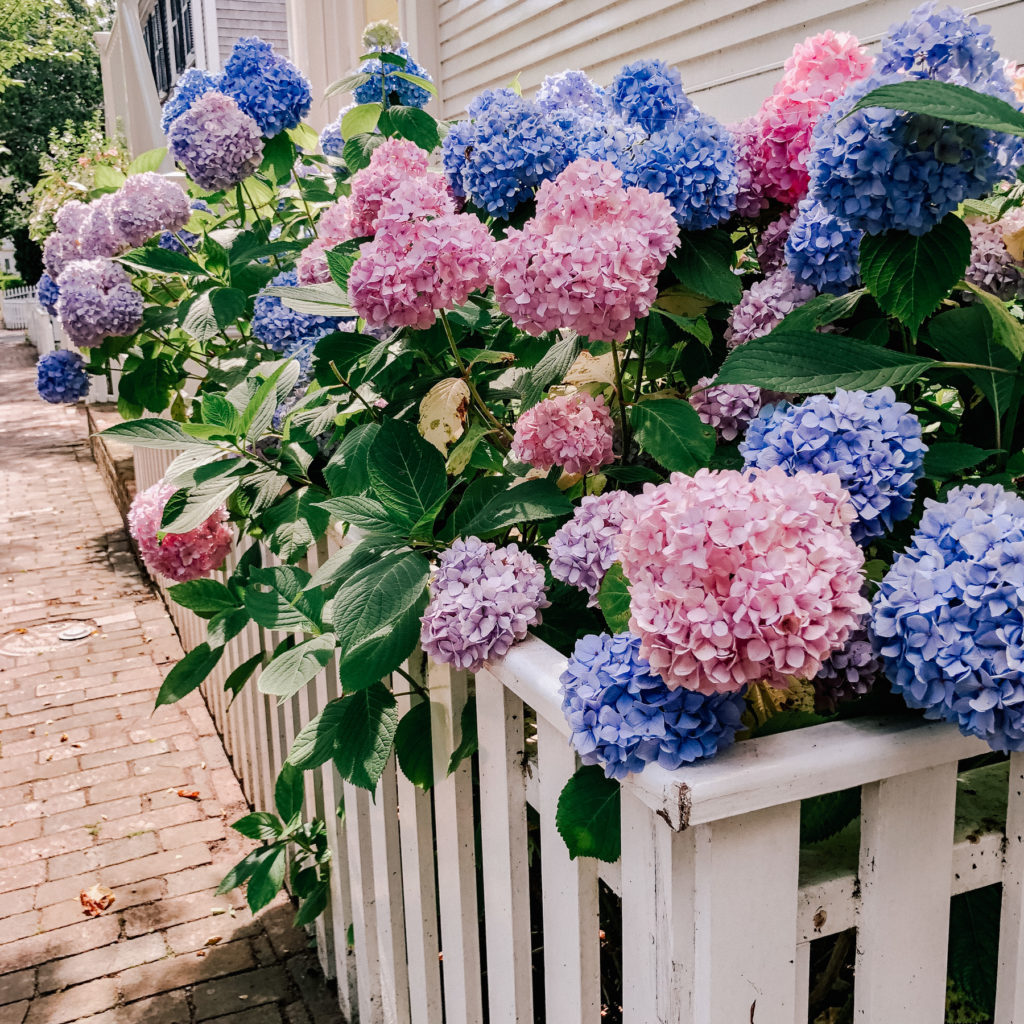 Nantucket House Tour by Kelly Larkin | Kelly in the City