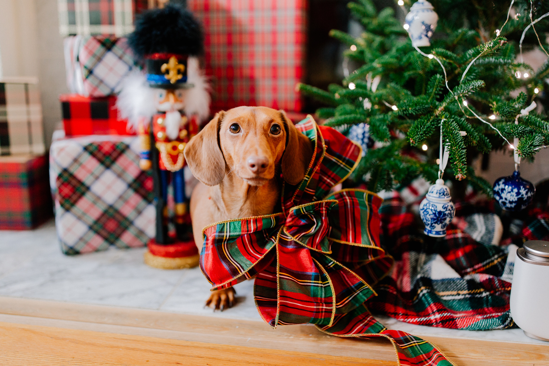 50+ Preppy Holiday Gifts to Buy in 2019 - Best Preppiest Gift Guide Ever