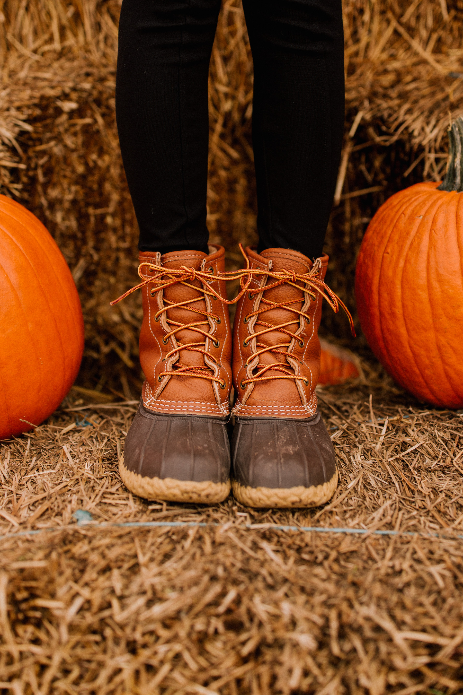 Shady Brook Farm in Yardley - PA | Kelly in the City