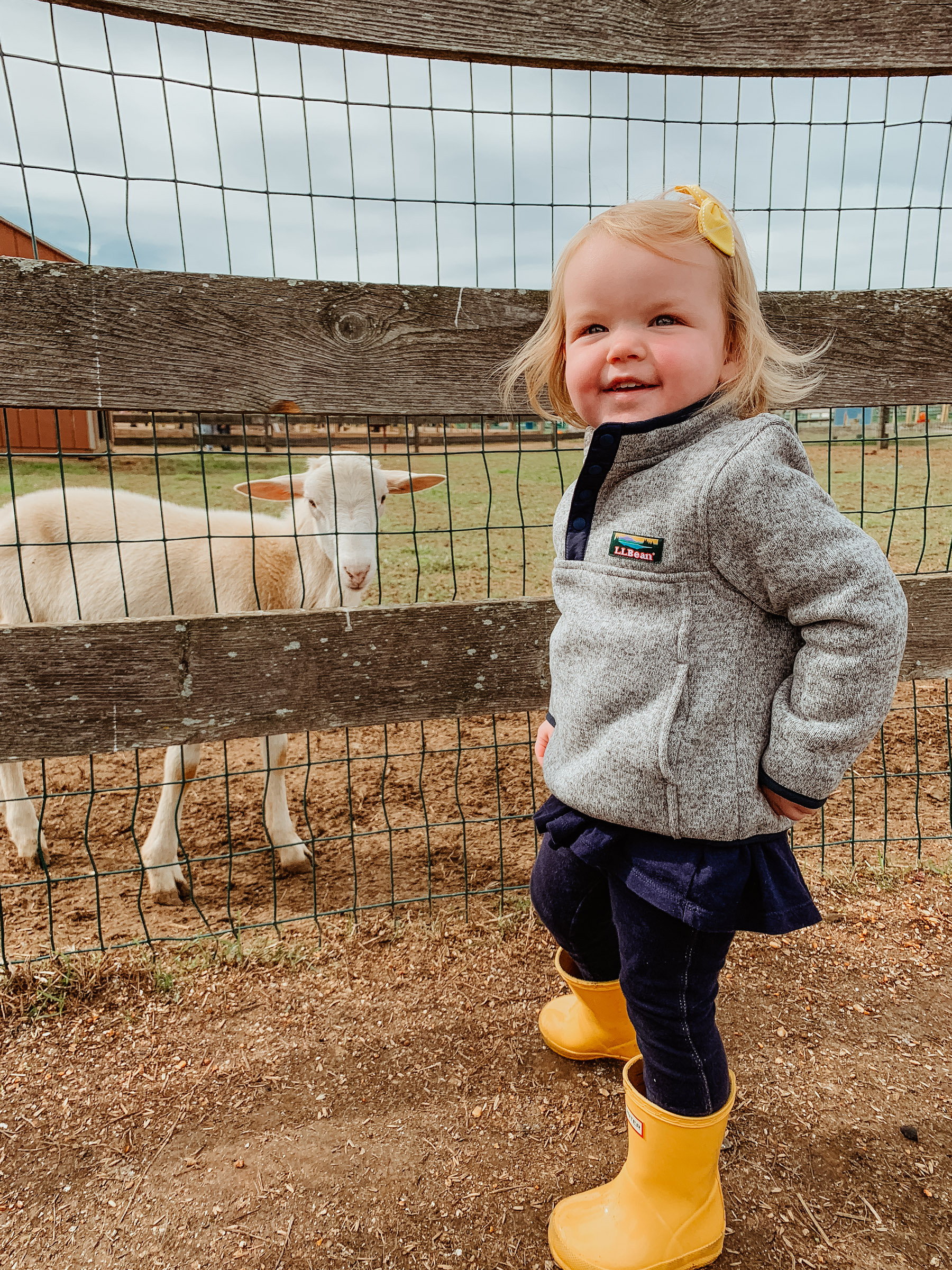 Shady Brook Farm