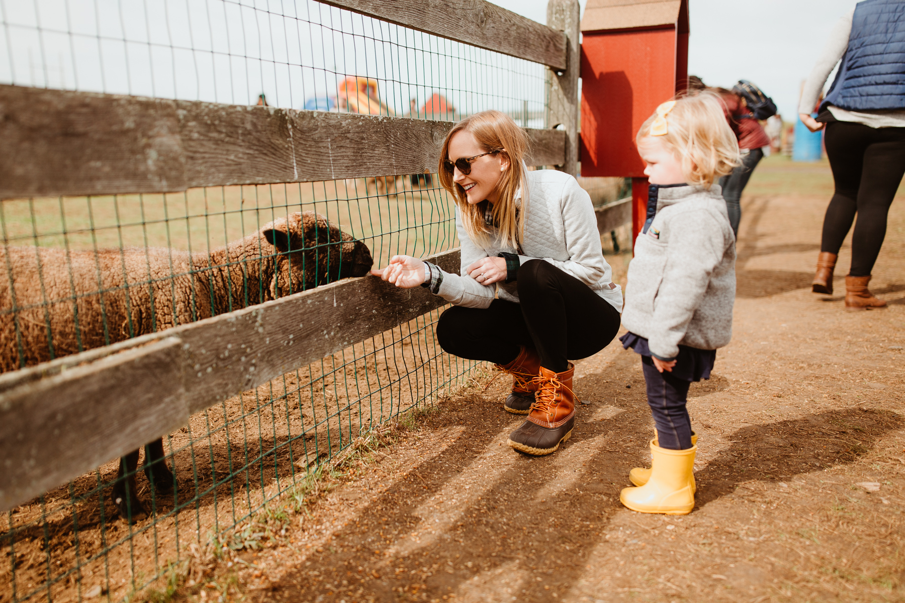 Shady Brook Farm