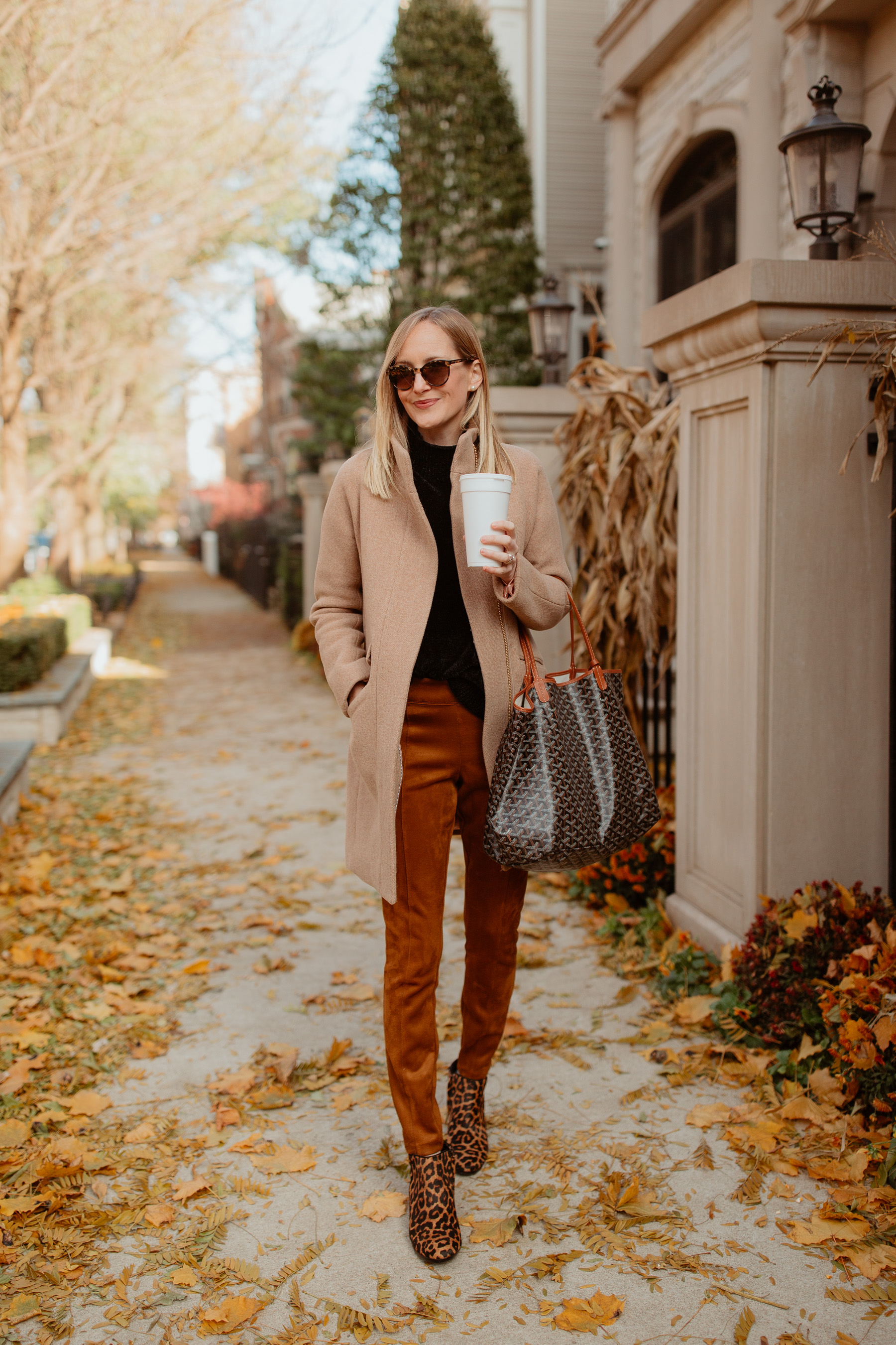 Suede leggings in brown - Joseph