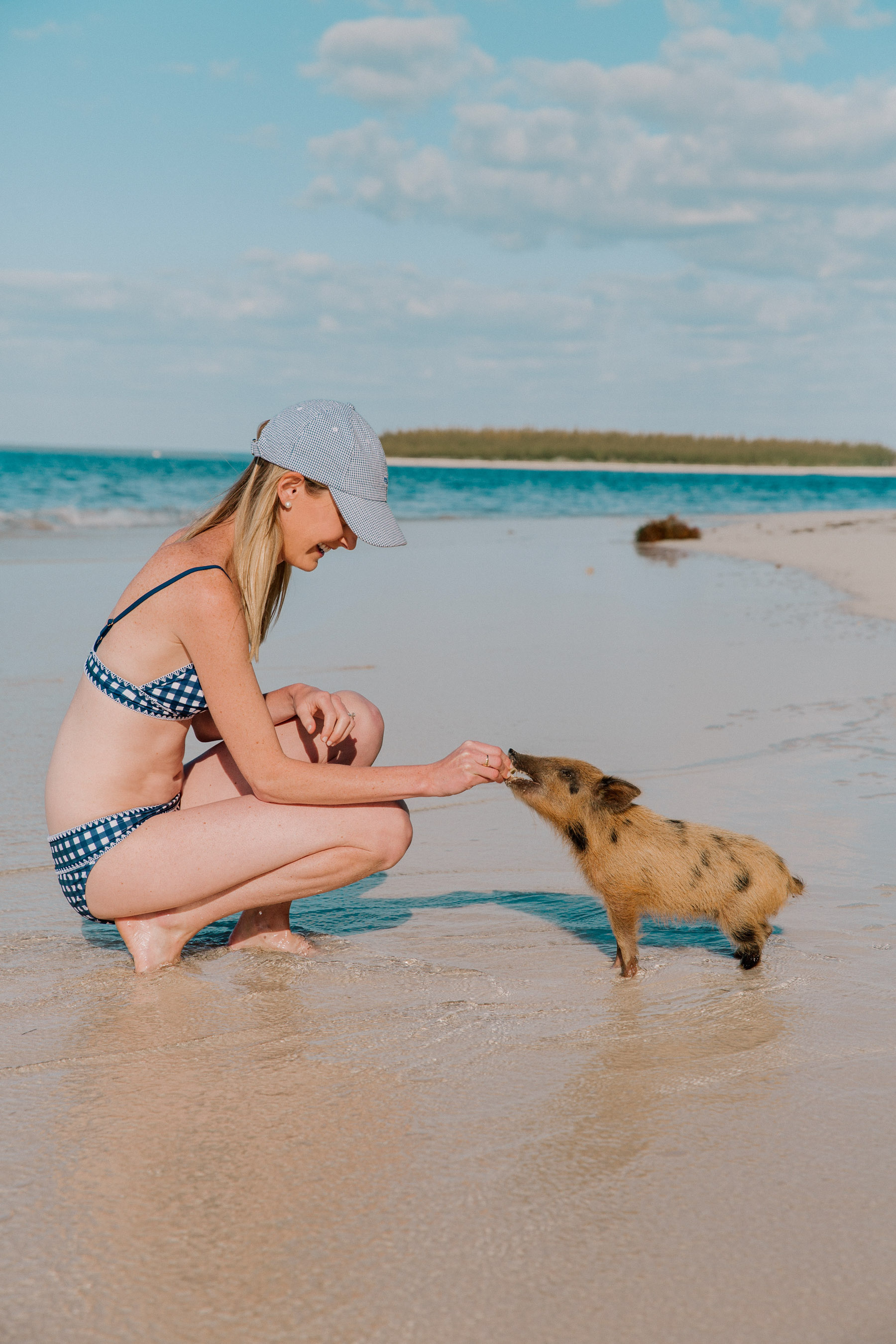 Swimming with Pigs