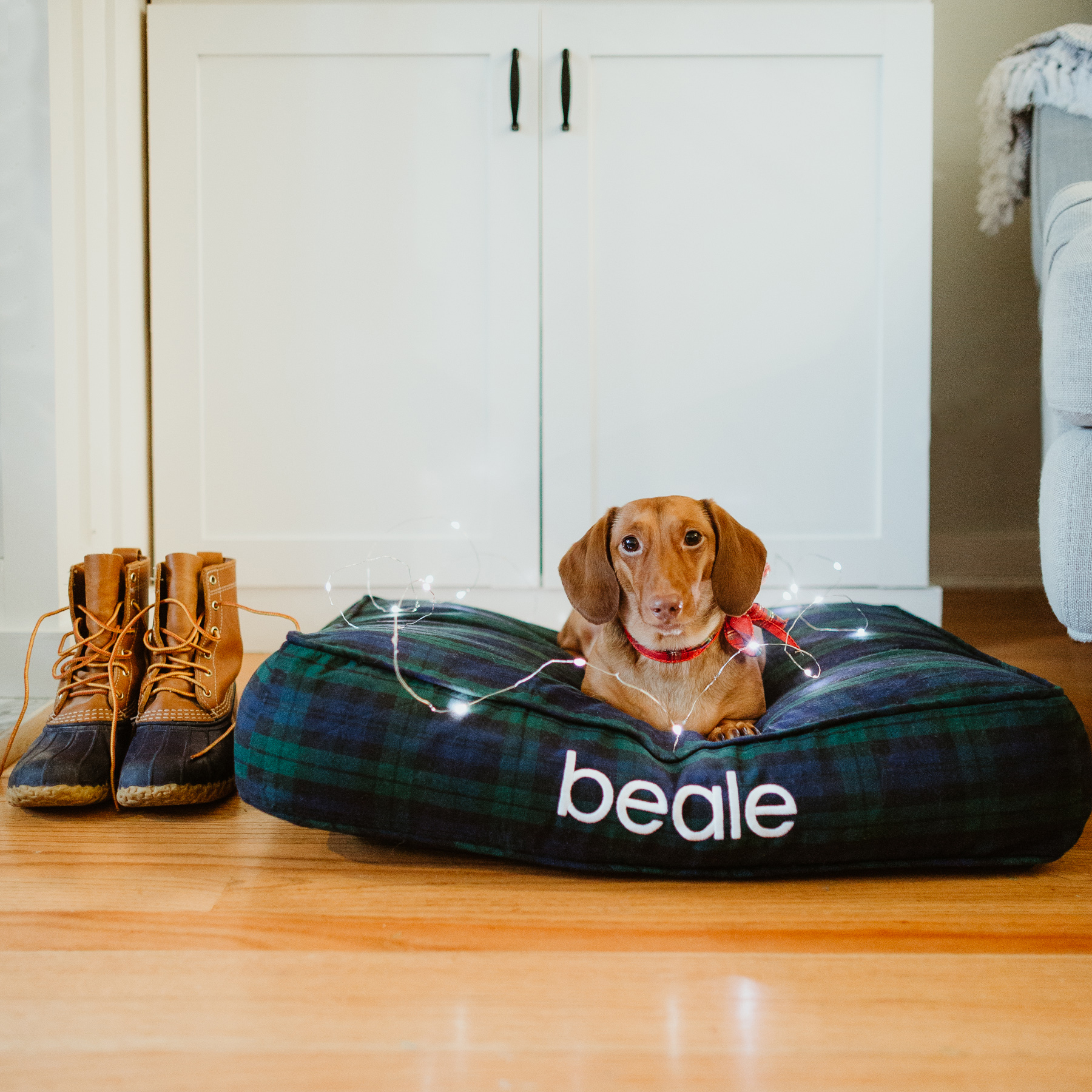 ll bean dog bed