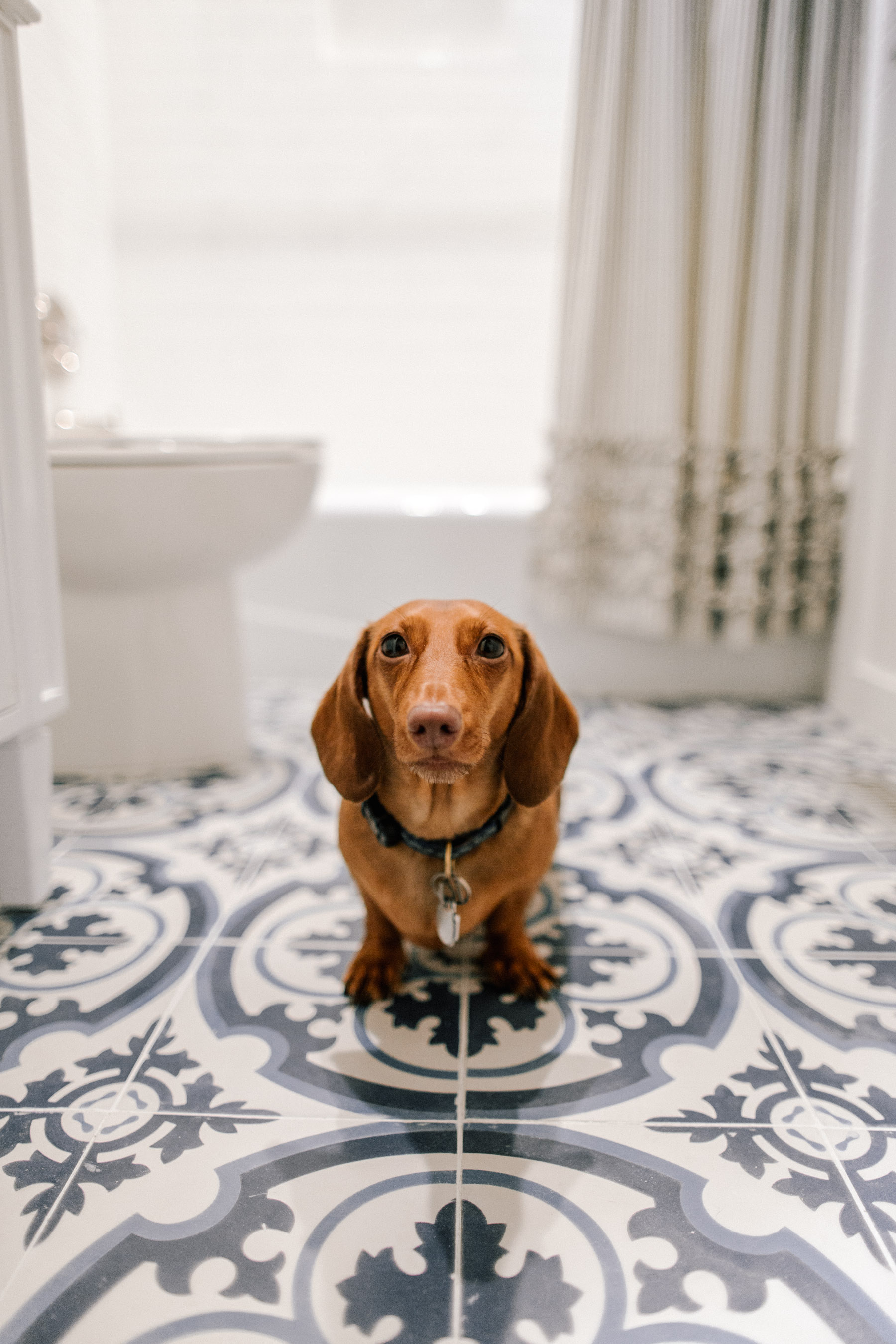 Our Bathroom Renovation