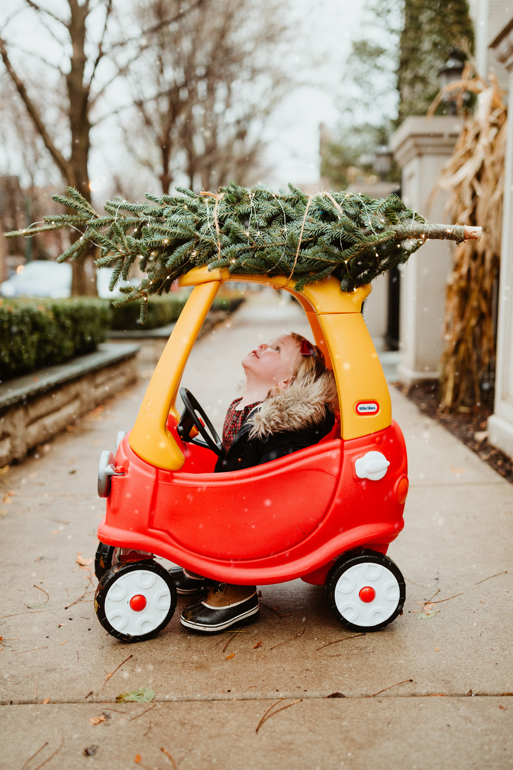 How We Took Our Christmas Card Photo