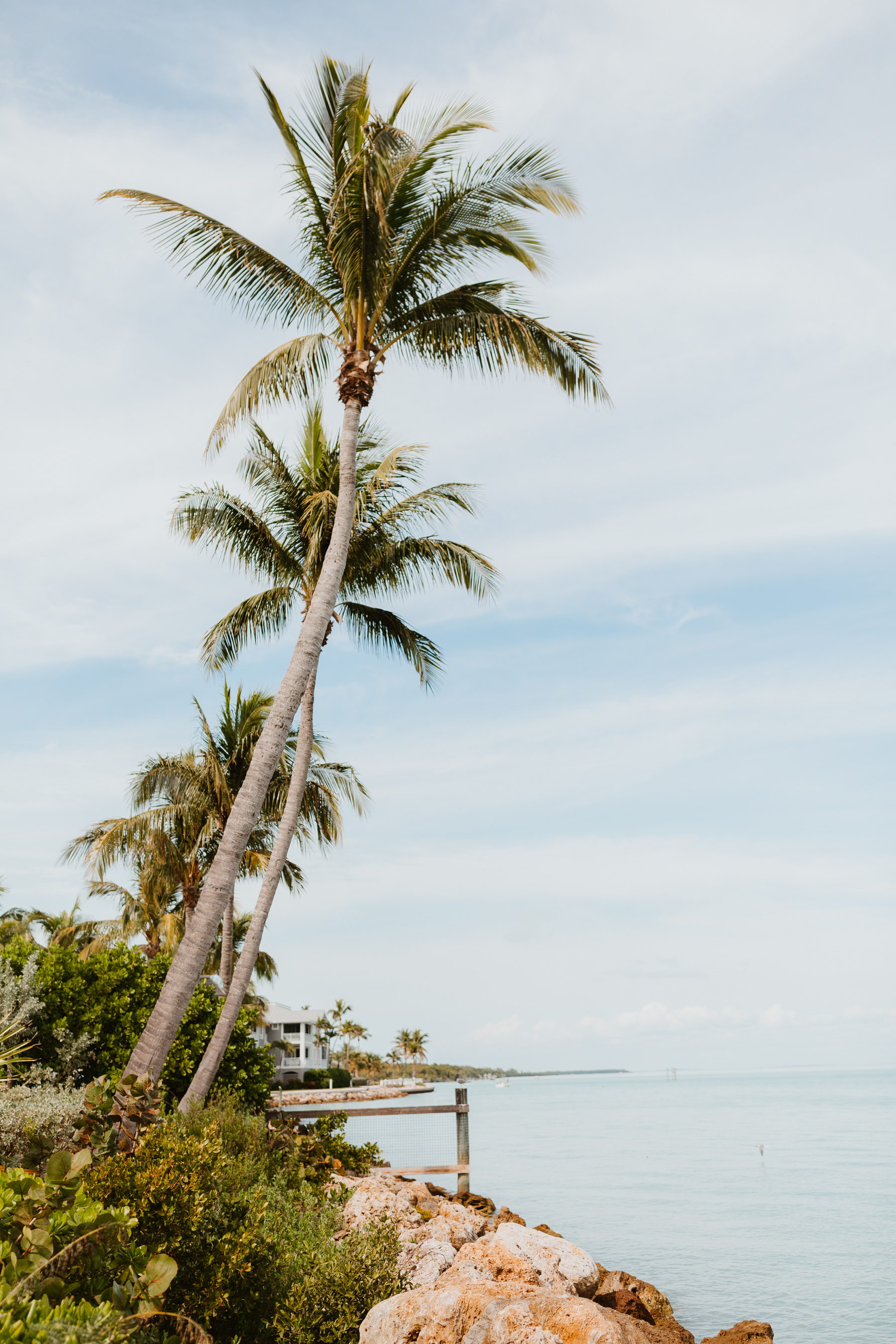 South Seas Island Resort on Captiva