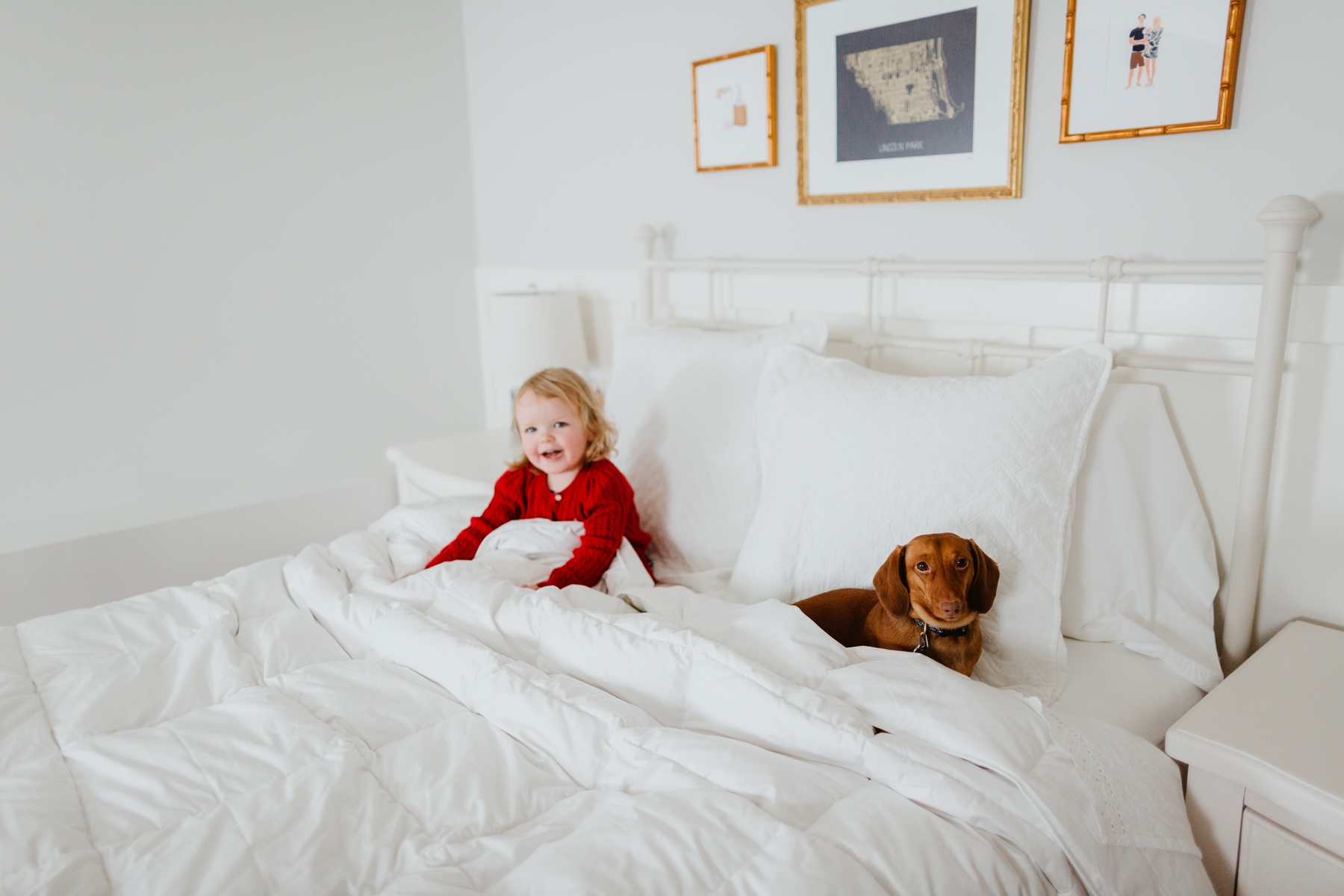 The oversized, extra-warm down comforter - The Company Store - White Sale